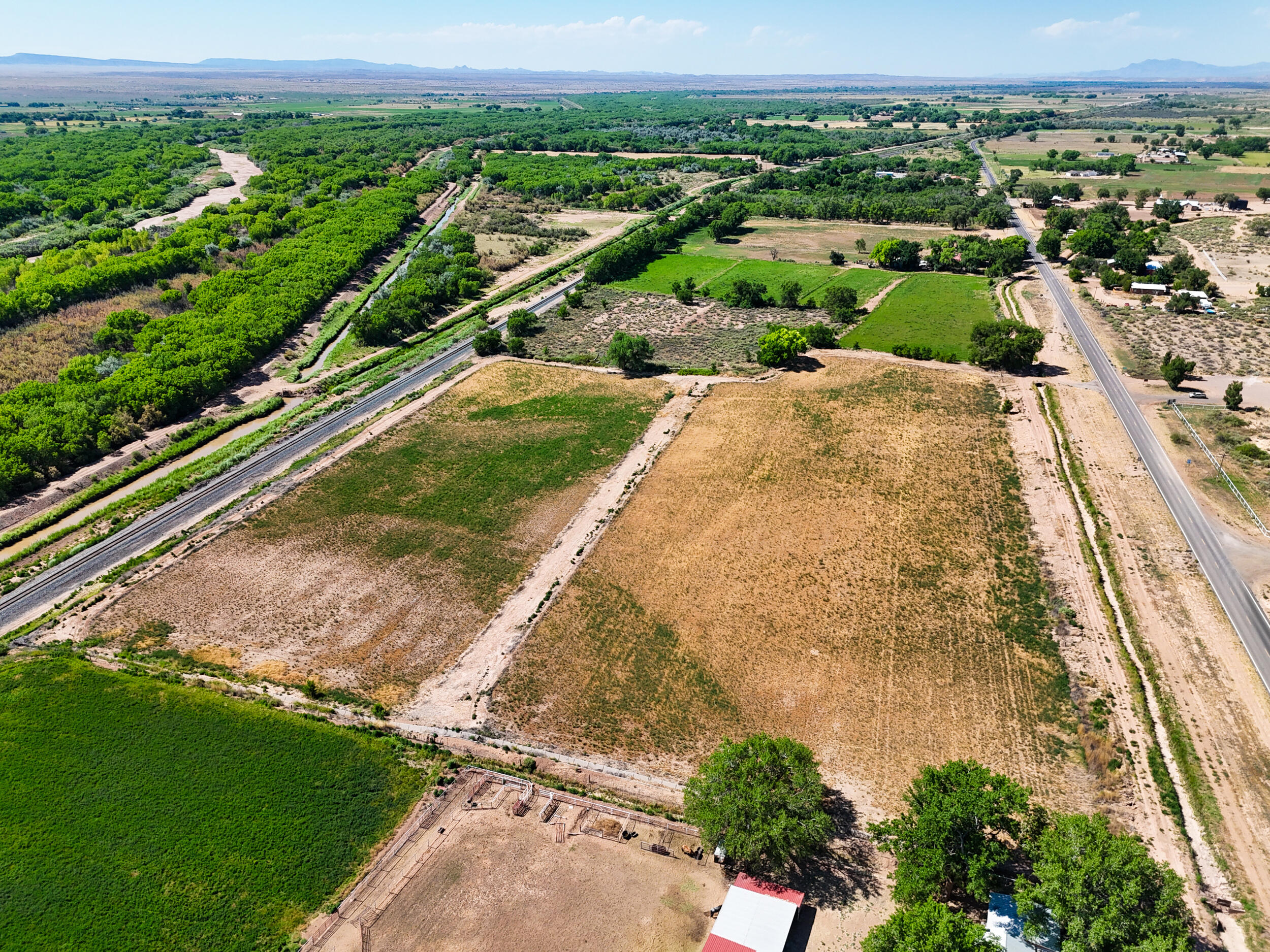 Photo 6 —  Off Hwy 116 Bosque