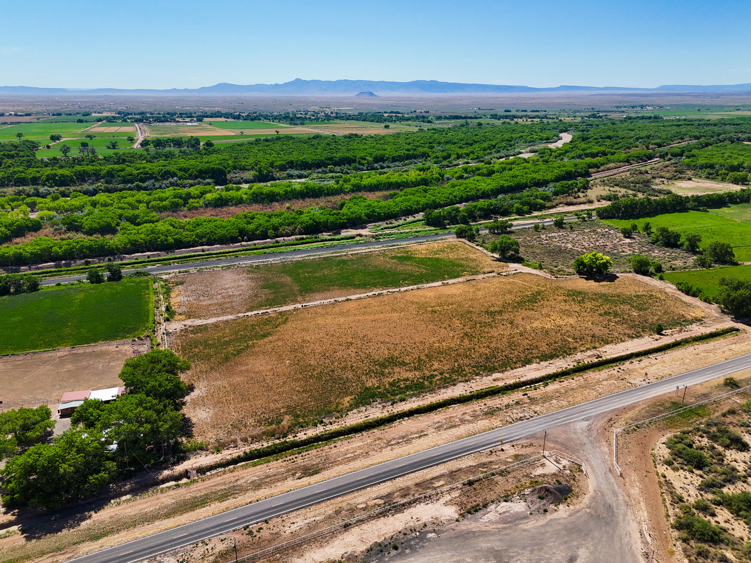 Photo 7 —  Off Hwy 116 Bosque