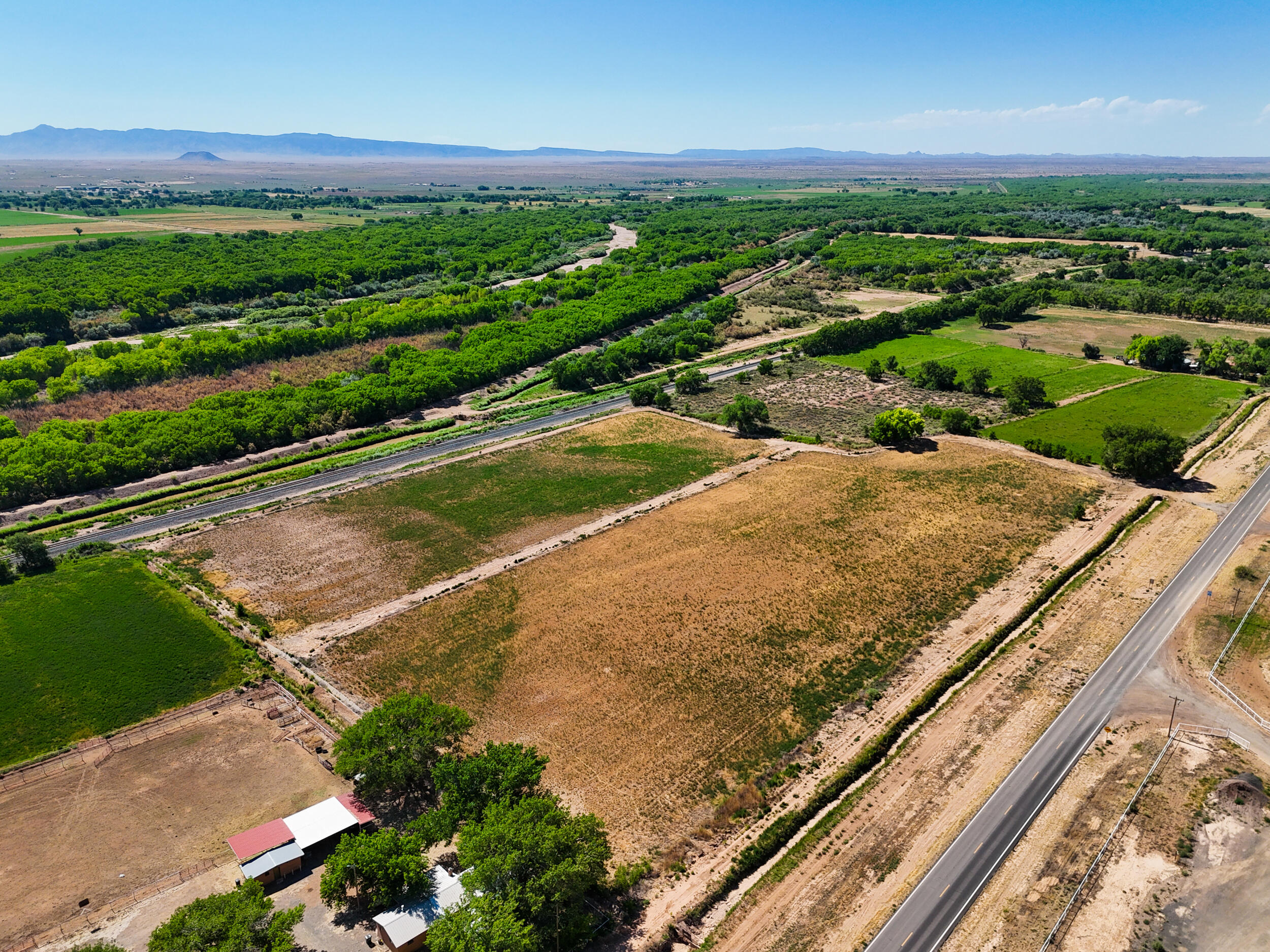 Photo 12 —  Off Hwy 116 Bosque