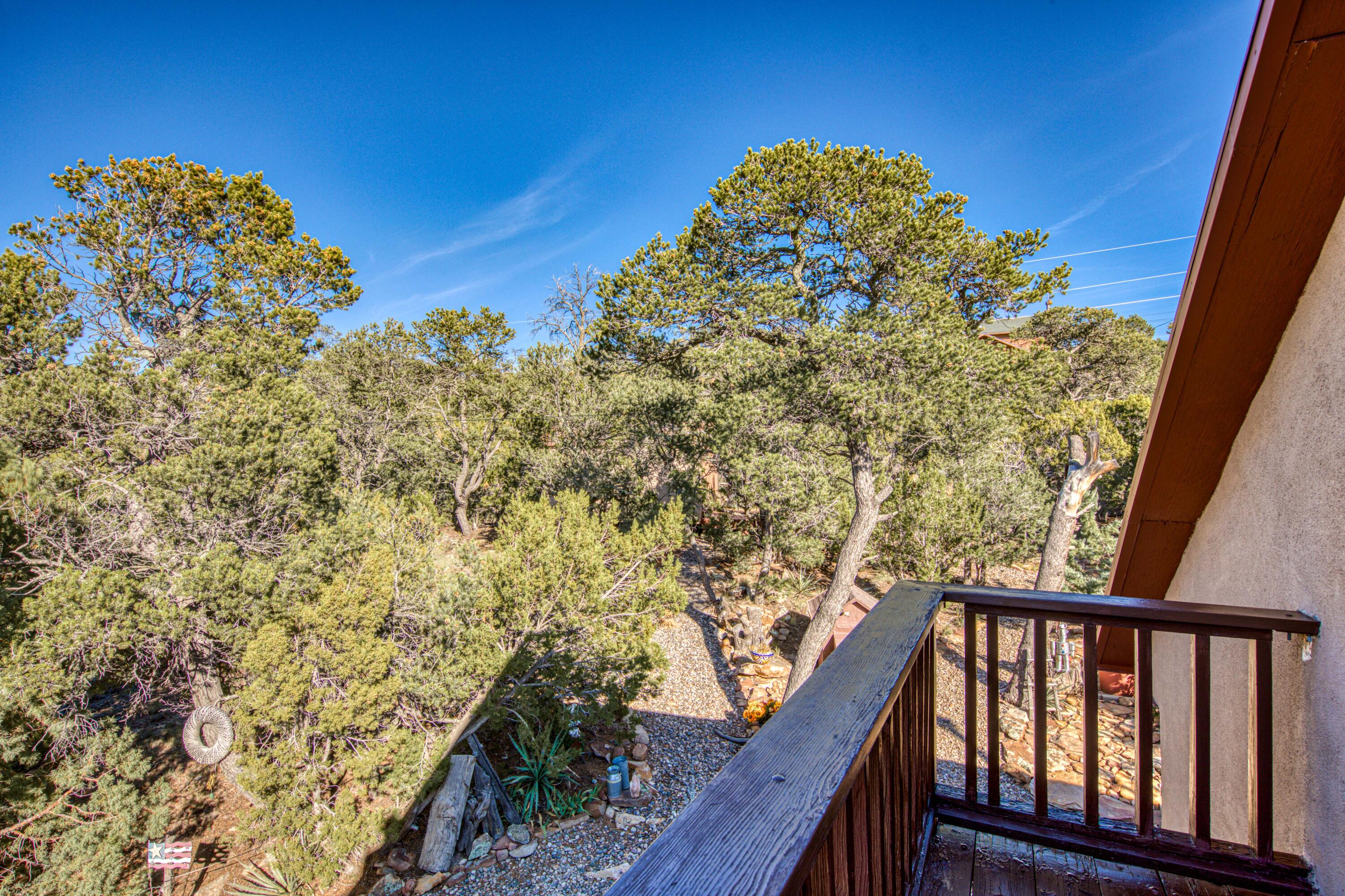 Photo 8 — 54 Sangre De Cristo Drive