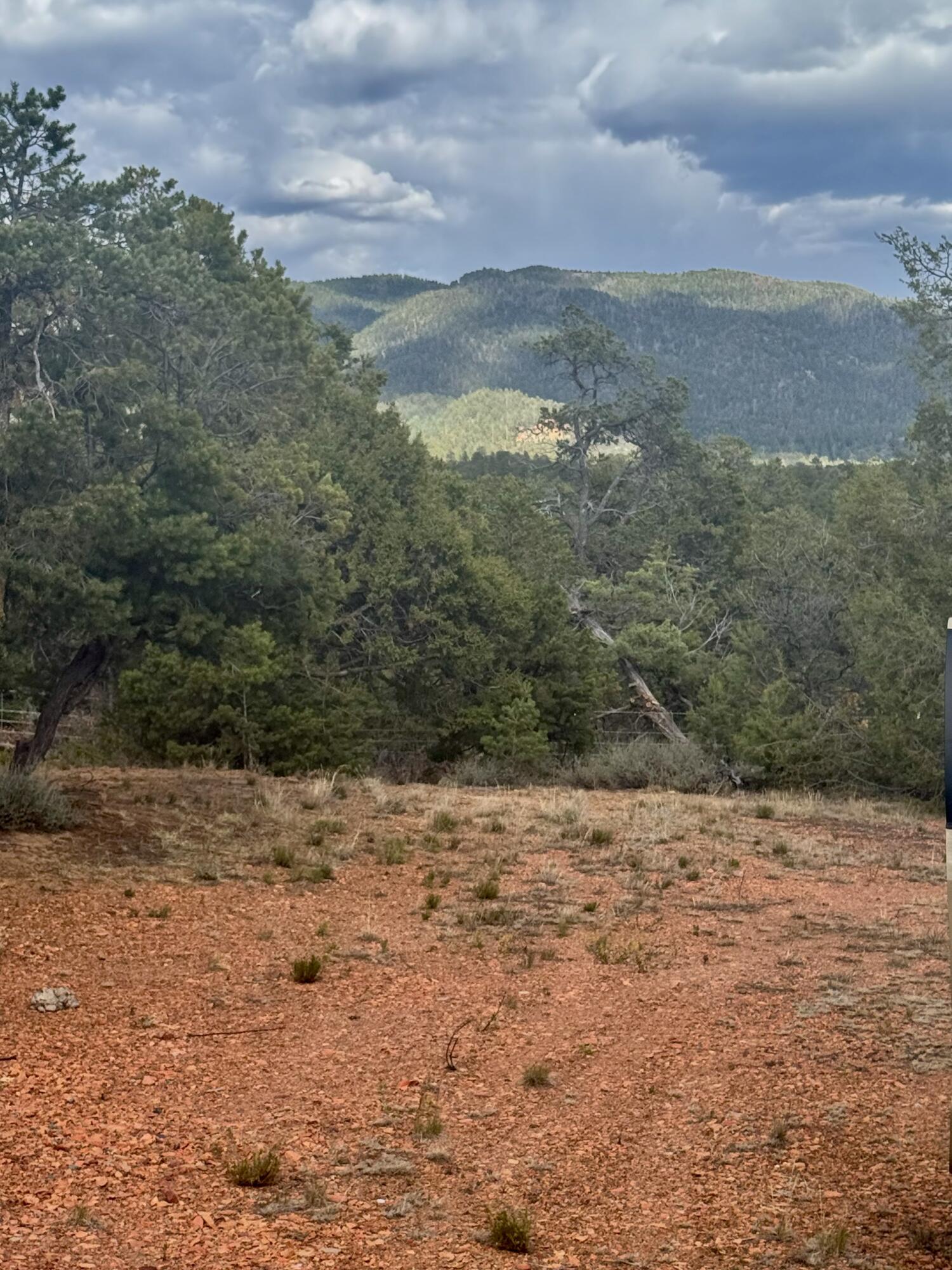 Photo 20 —  Nararjo Creek Road