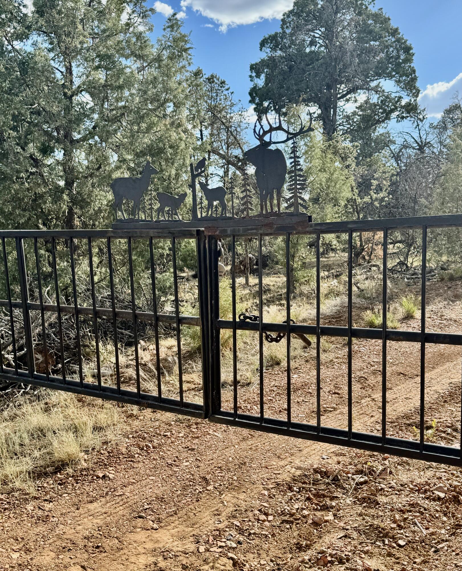 Photo 8 —  Nararjo Creek Road