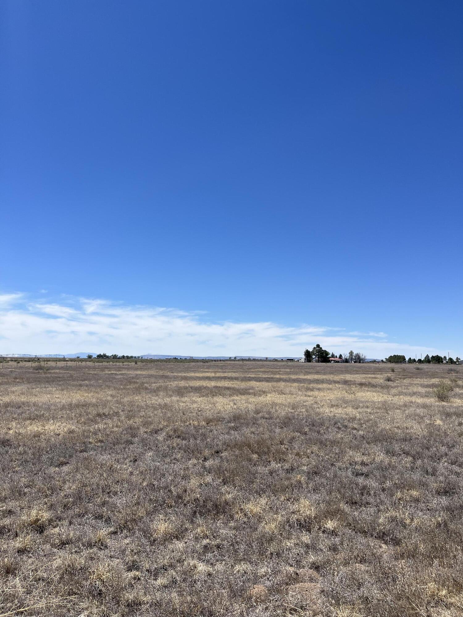  NM Highway 55