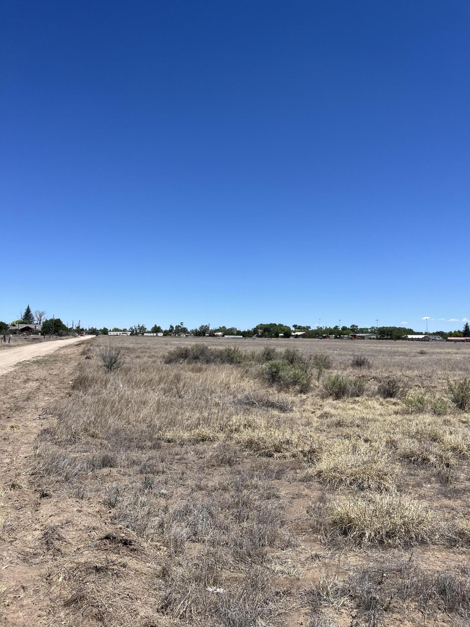 Photo 4 —  NM Highway 55