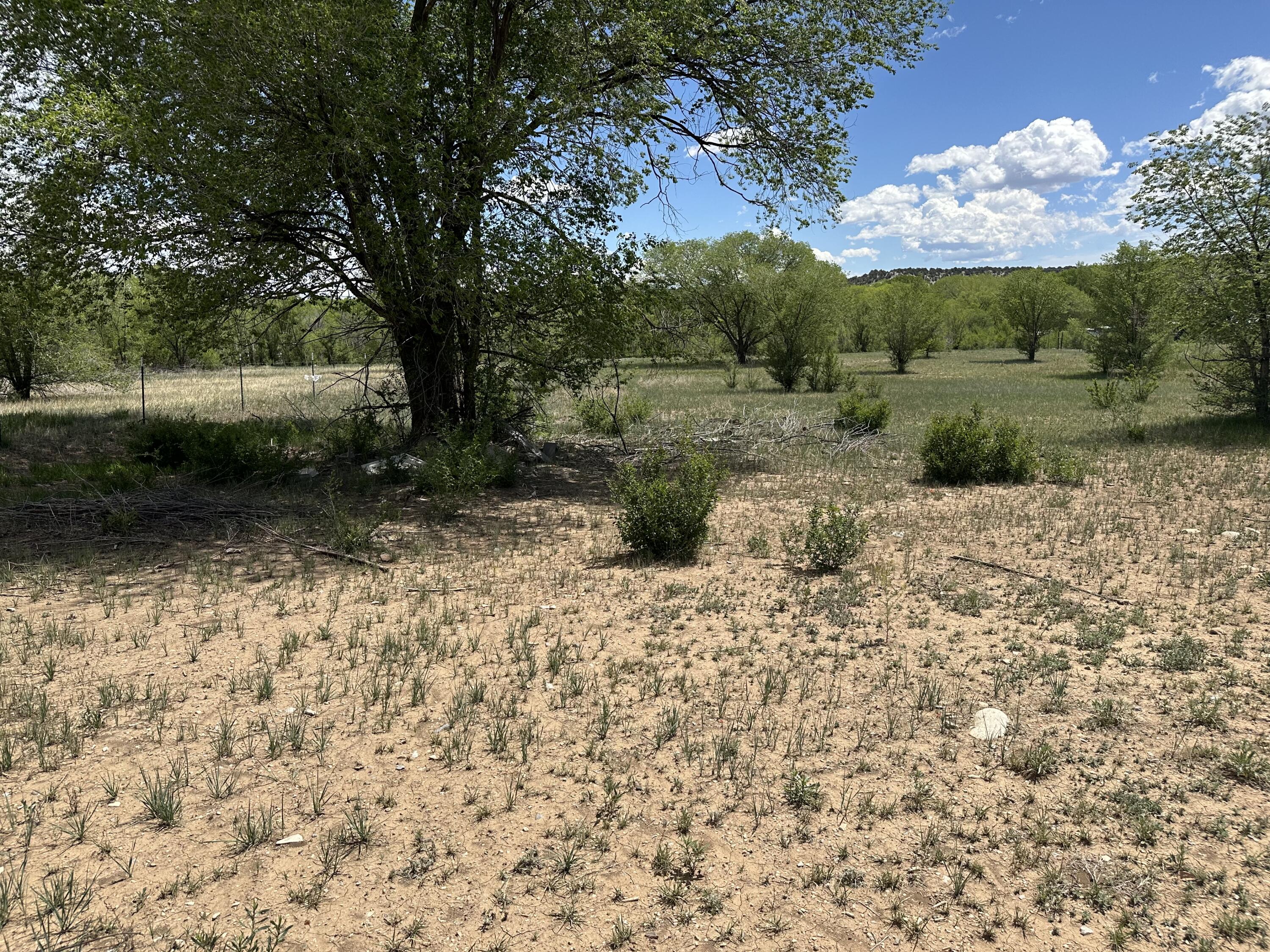Photo 9 — 412 S Grand Avenue