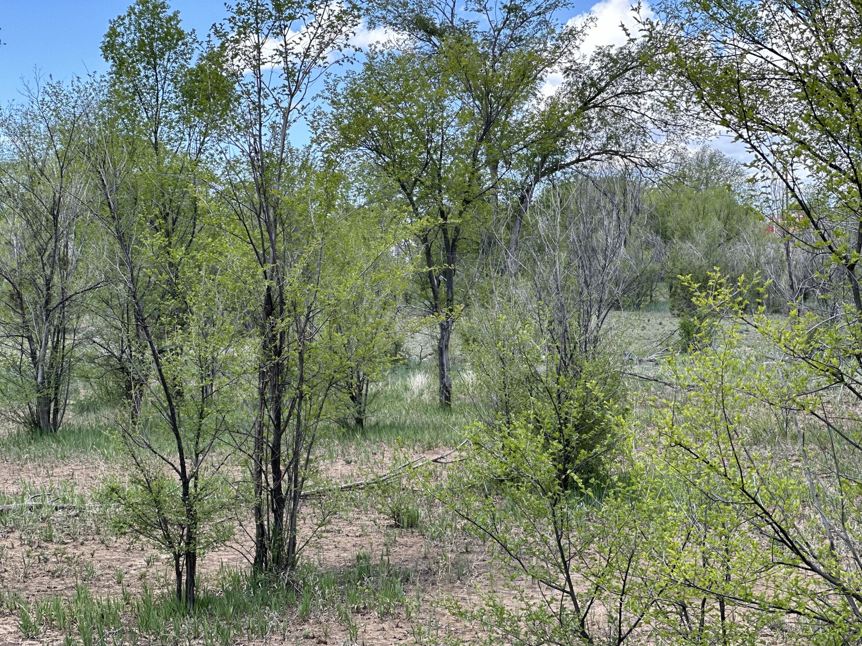 Photo 19 — 412 S Grand Avenue