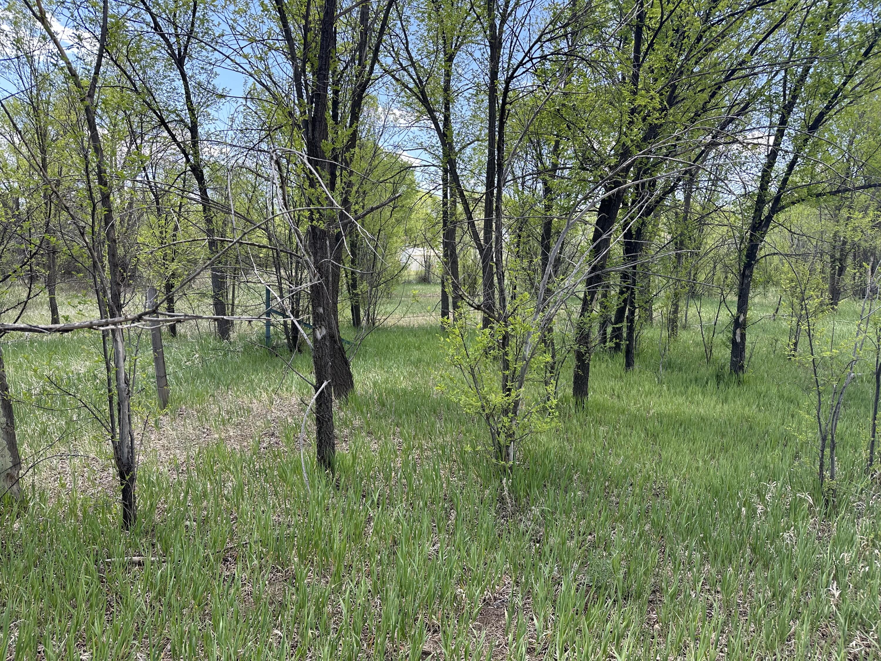 Photo 18 — 412 S Grand Avenue