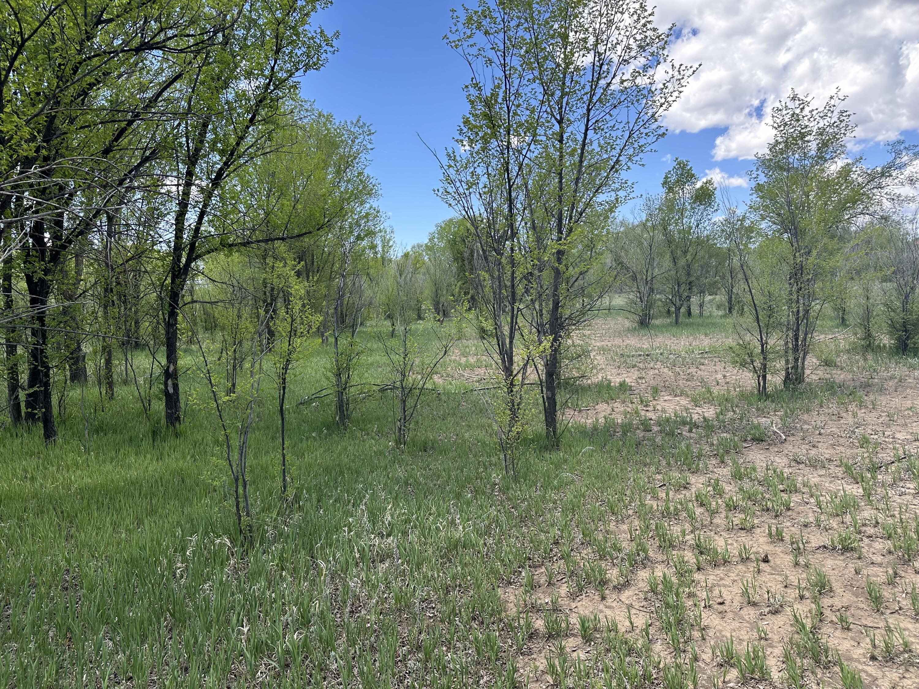 Photo 17 — 412 S Grand Avenue