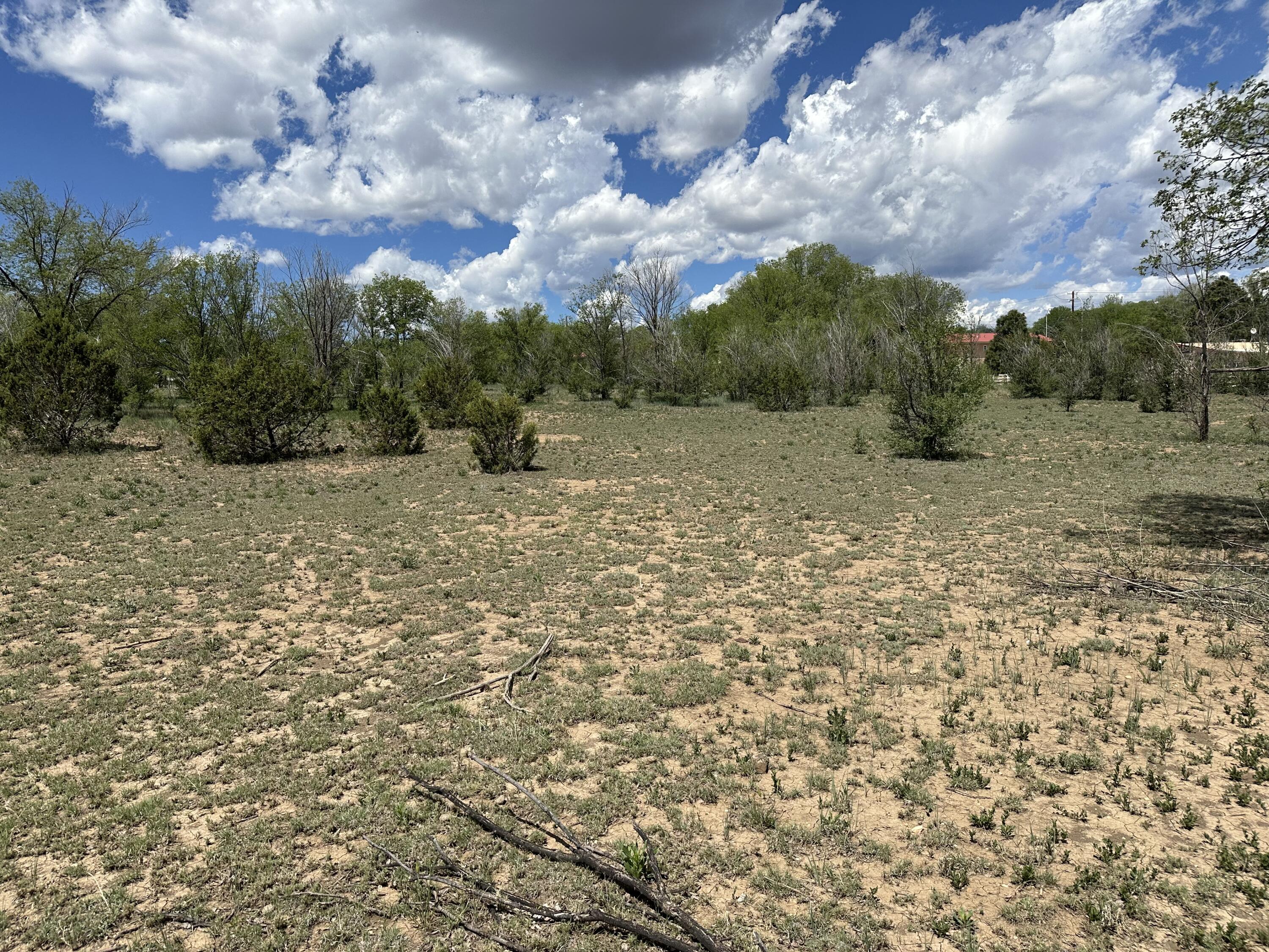 Photo 15 — 412 S Grand Avenue