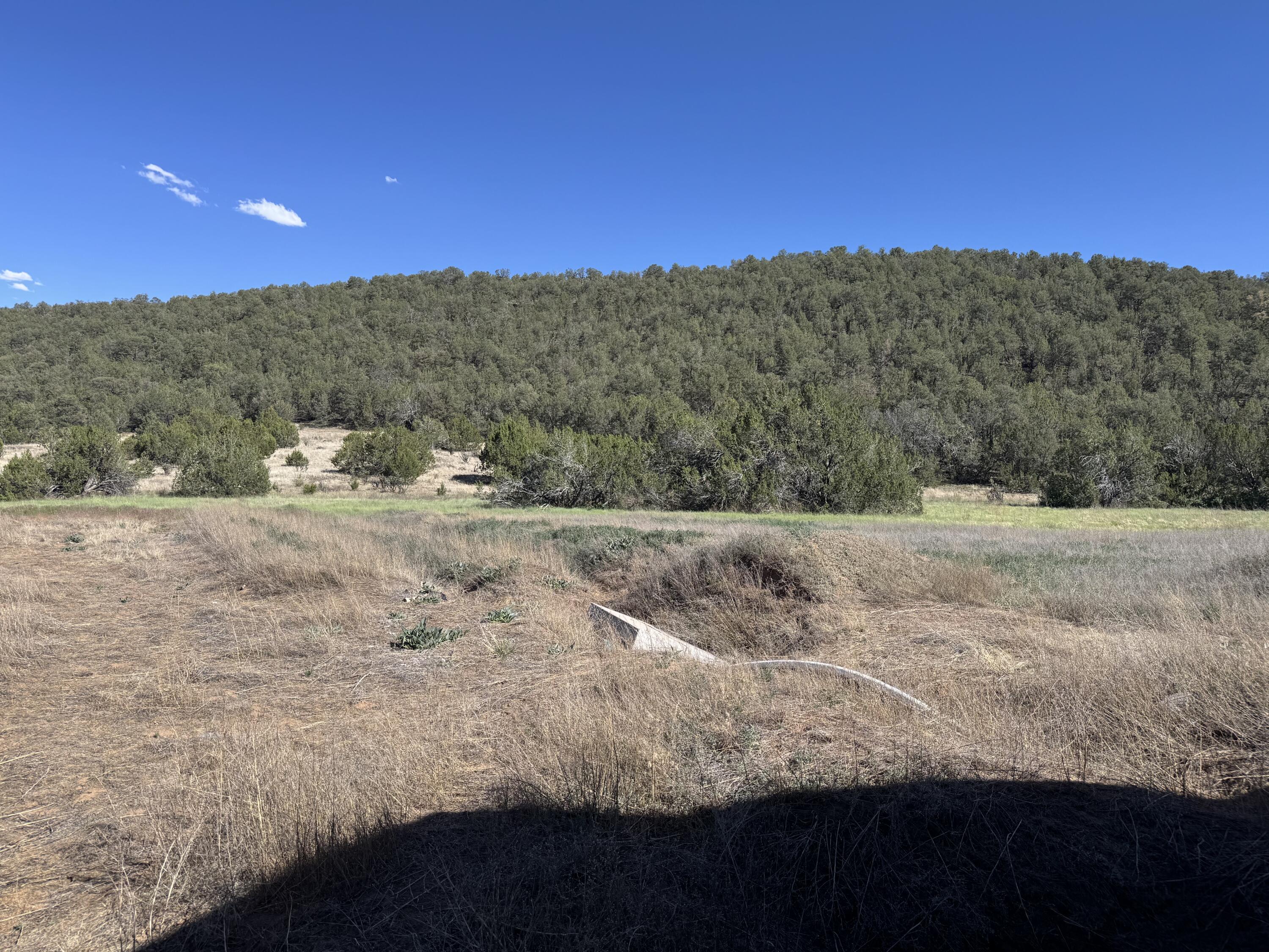 Photo 19 — 64 Vidalia Road