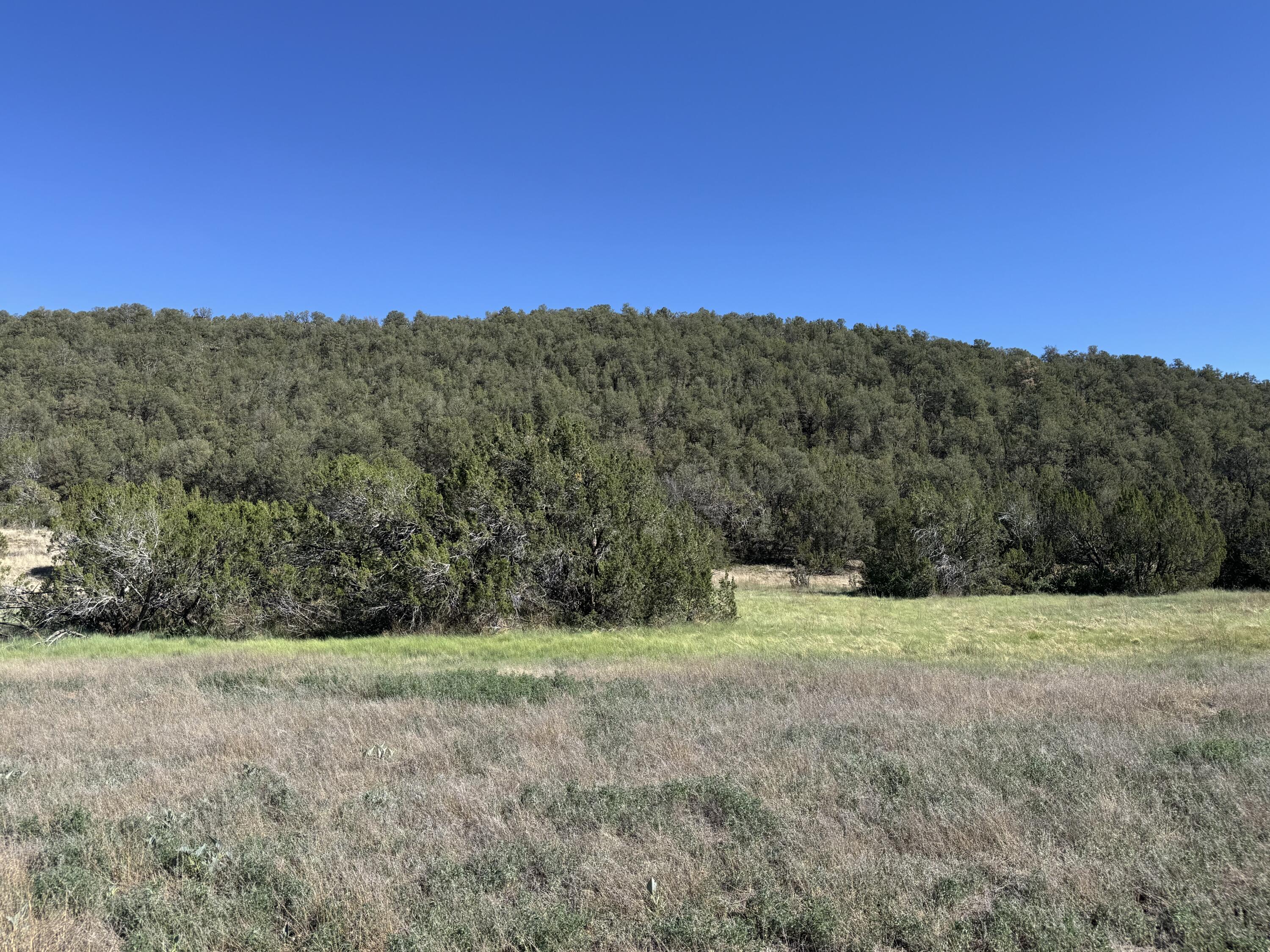Photo 20 — 64 Vidalia Road