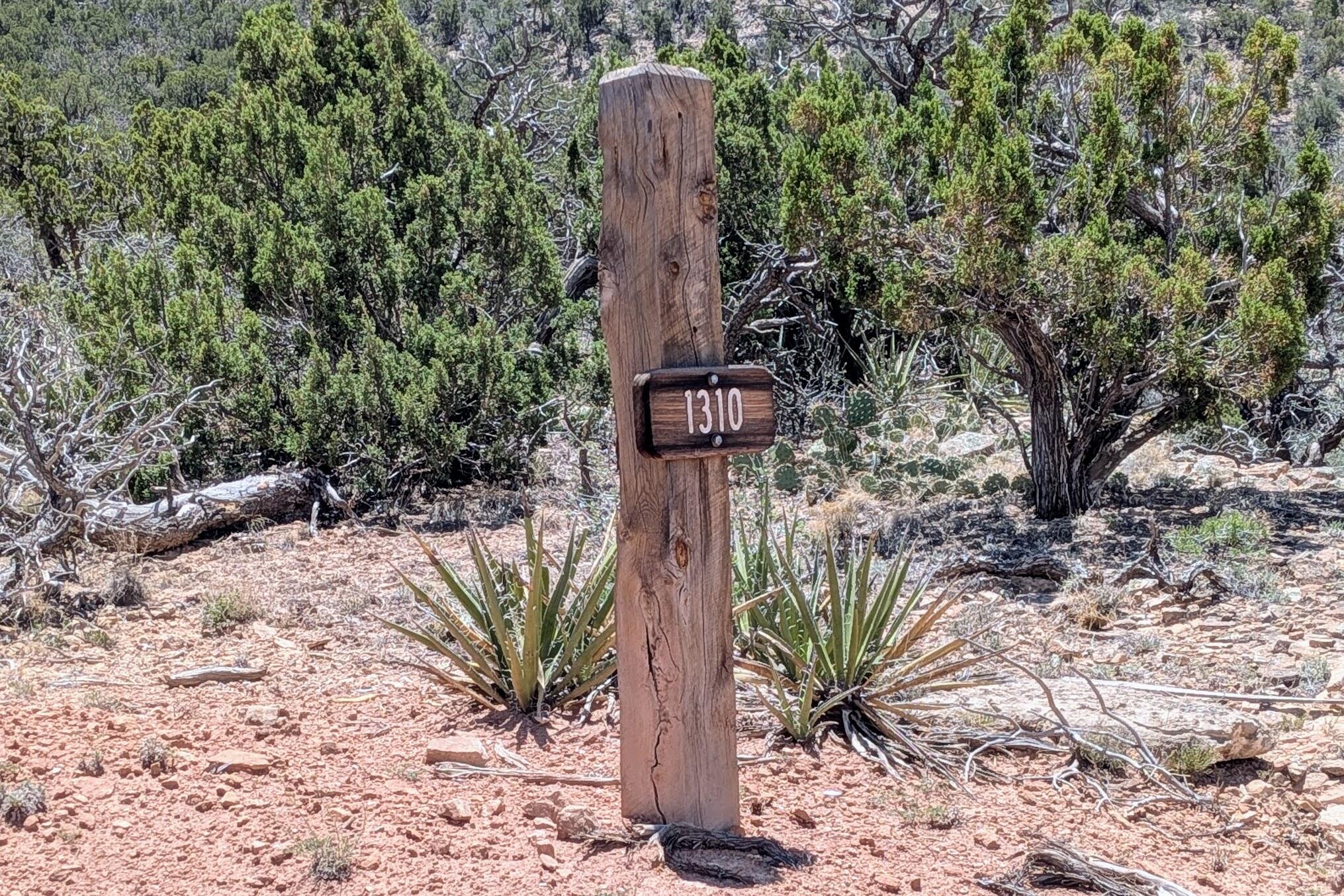 Photo 9 — 1310 Deer Canyon Trail
