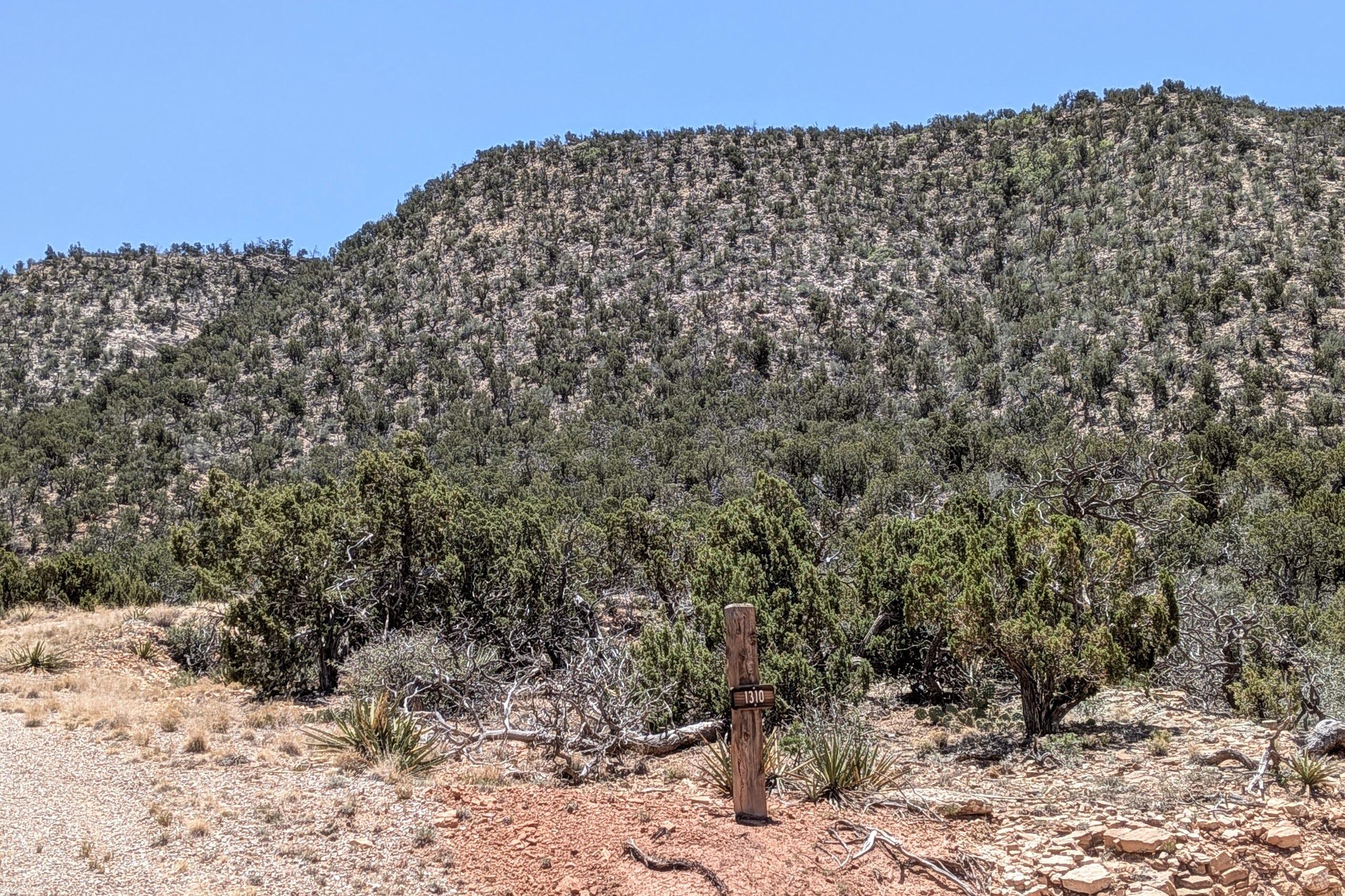 Photo 10 — 1310 Deer Canyon Trail