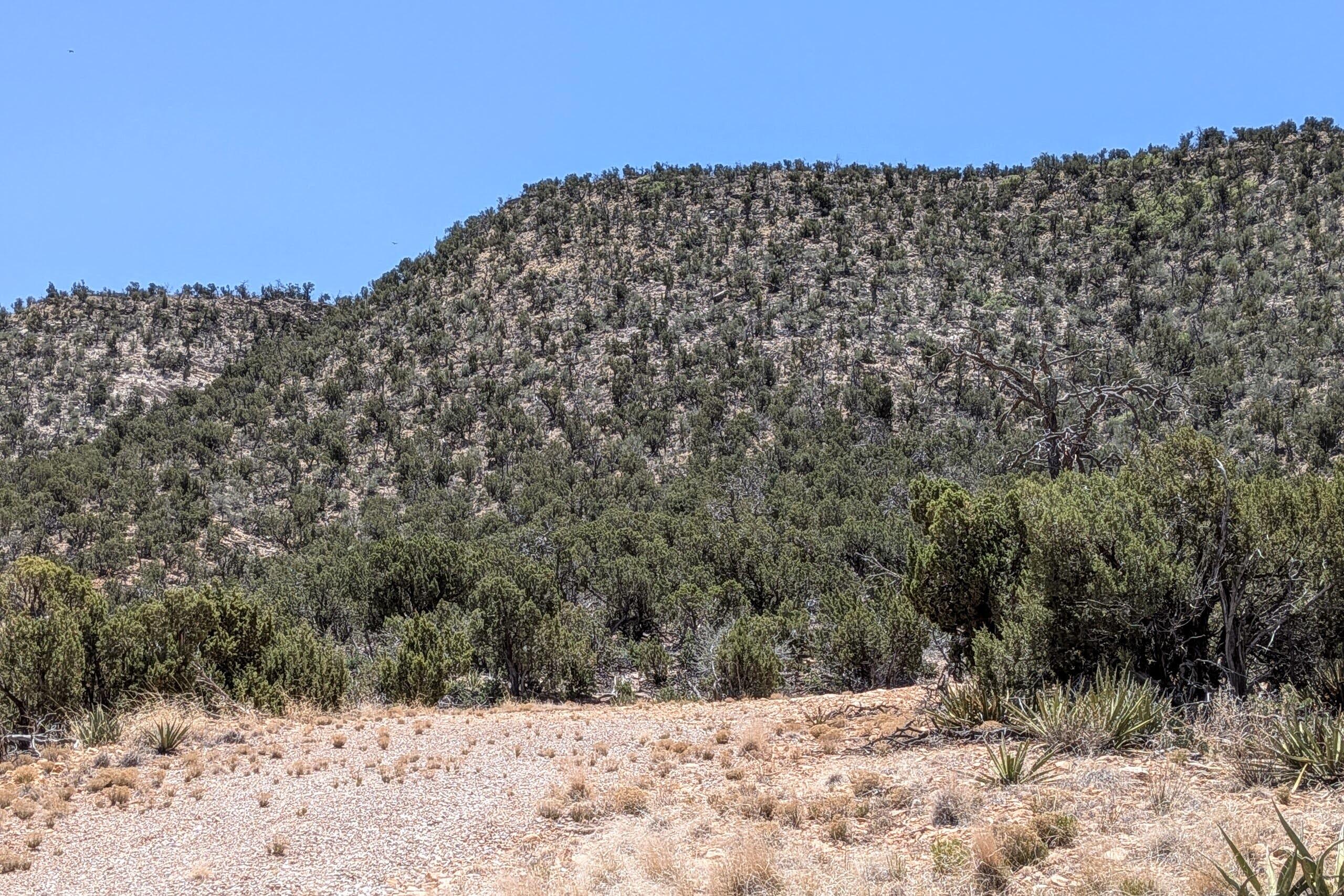 Photo 12 — 1310 Deer Canyon Trail