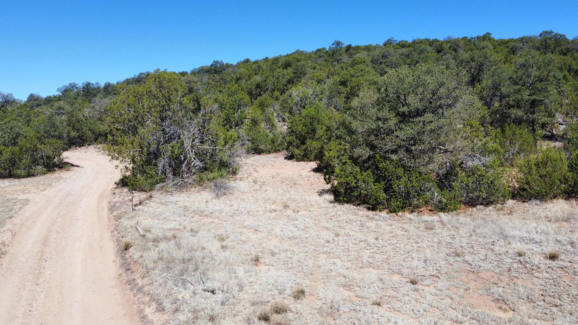 Photo 4 —  Mountain Valley Drive