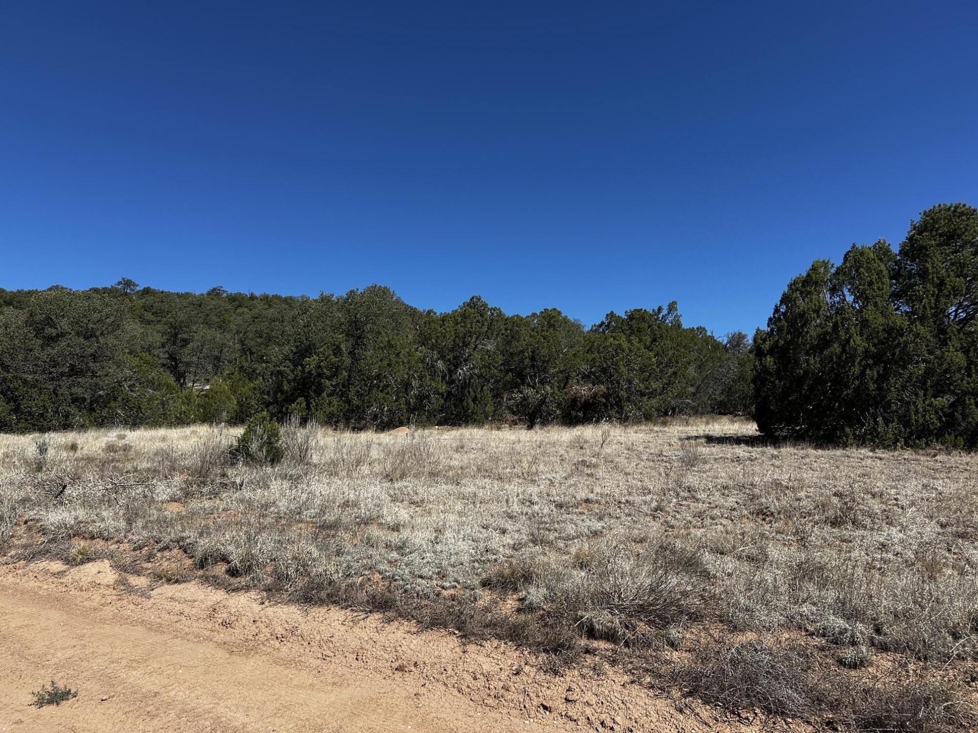 Photo 3 —  Mountain Valley Drive