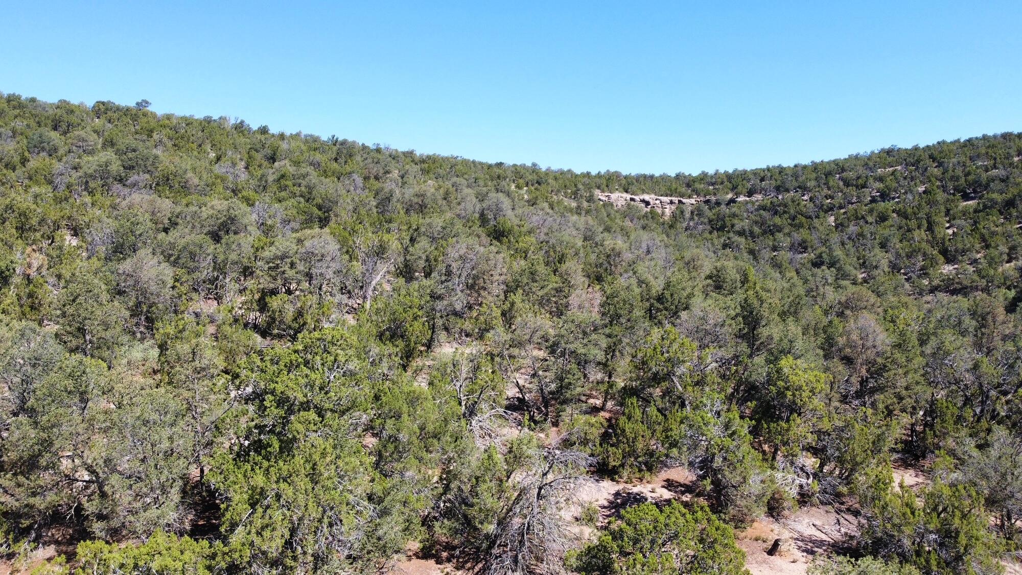 Photo 11 —  Mountain Valley Drive