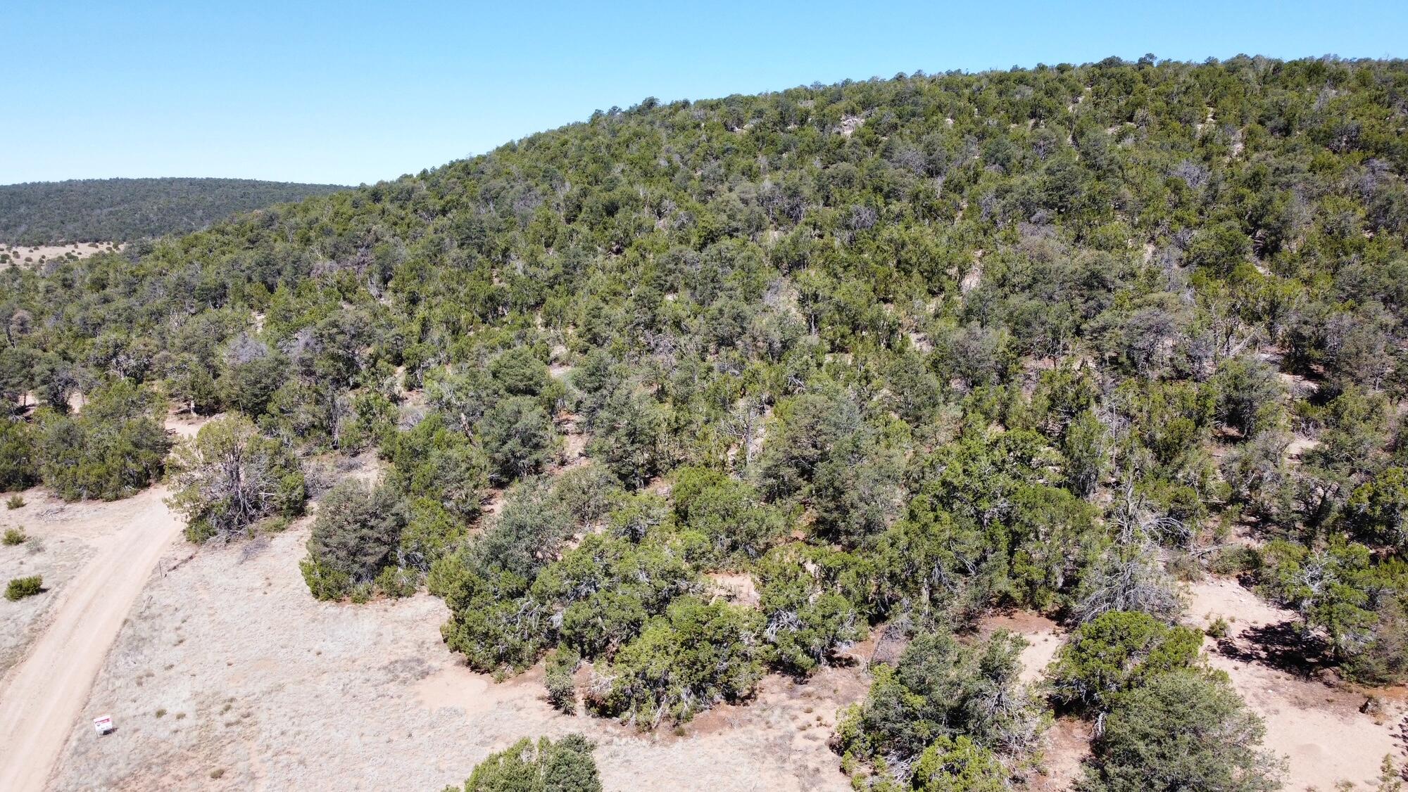 Photo 10 —  Mountain Valley Drive