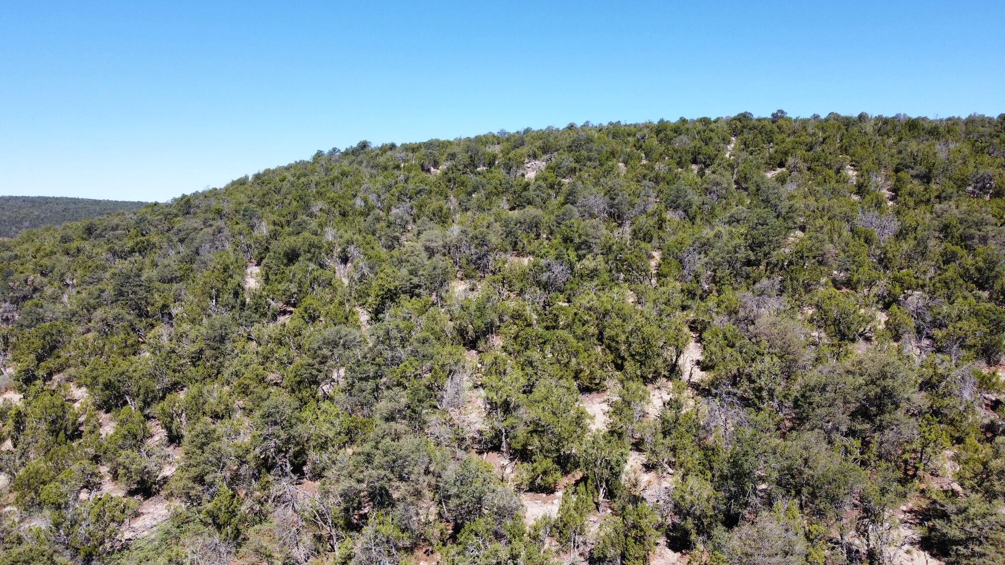 Photo 9 —  Mountain Valley Drive