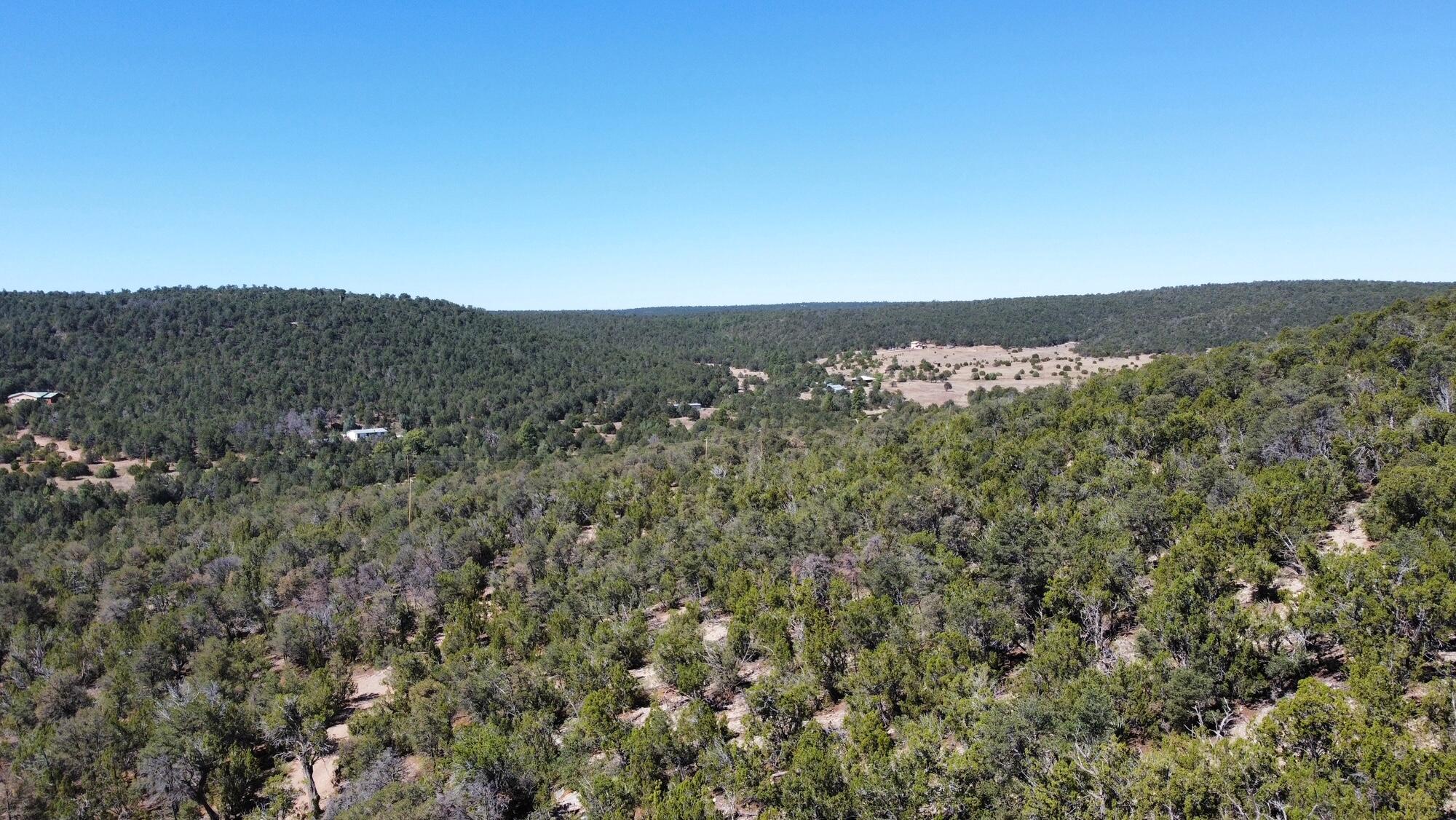 Photo 8 —  Mountain Valley Drive