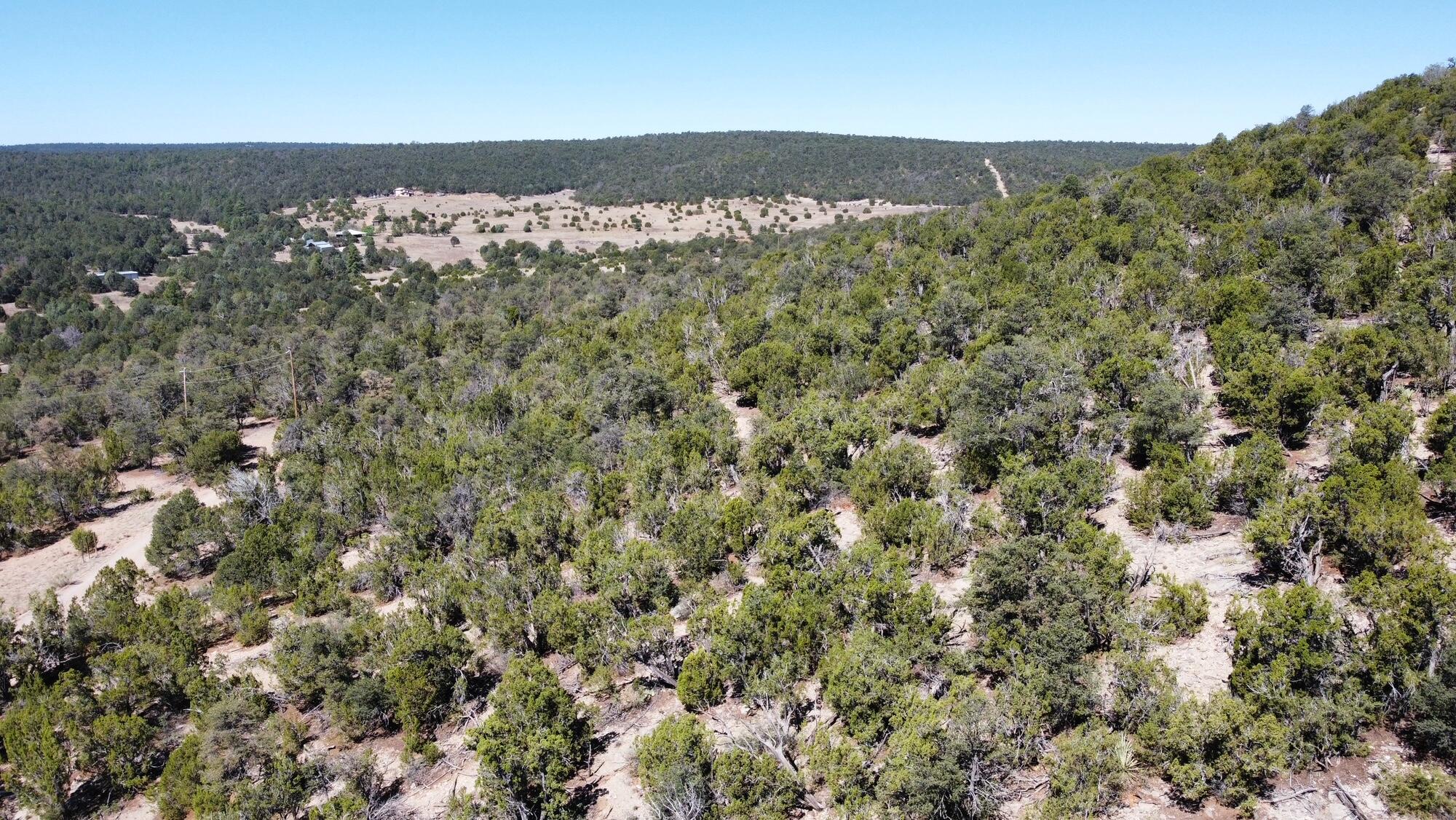 Photo 7 —  Mountain Valley Drive
