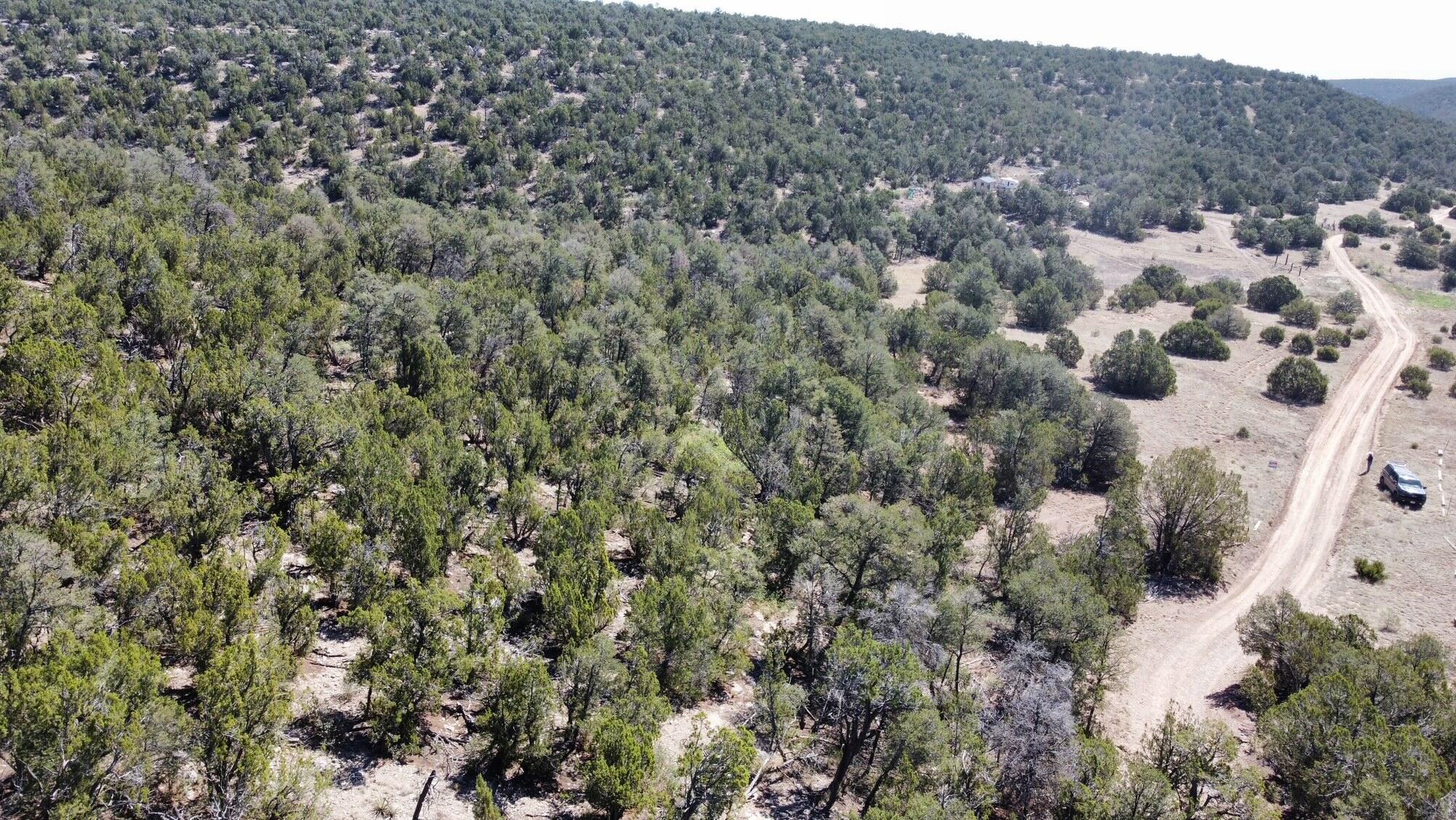 Photo 5 —  Mountain Valley Drive