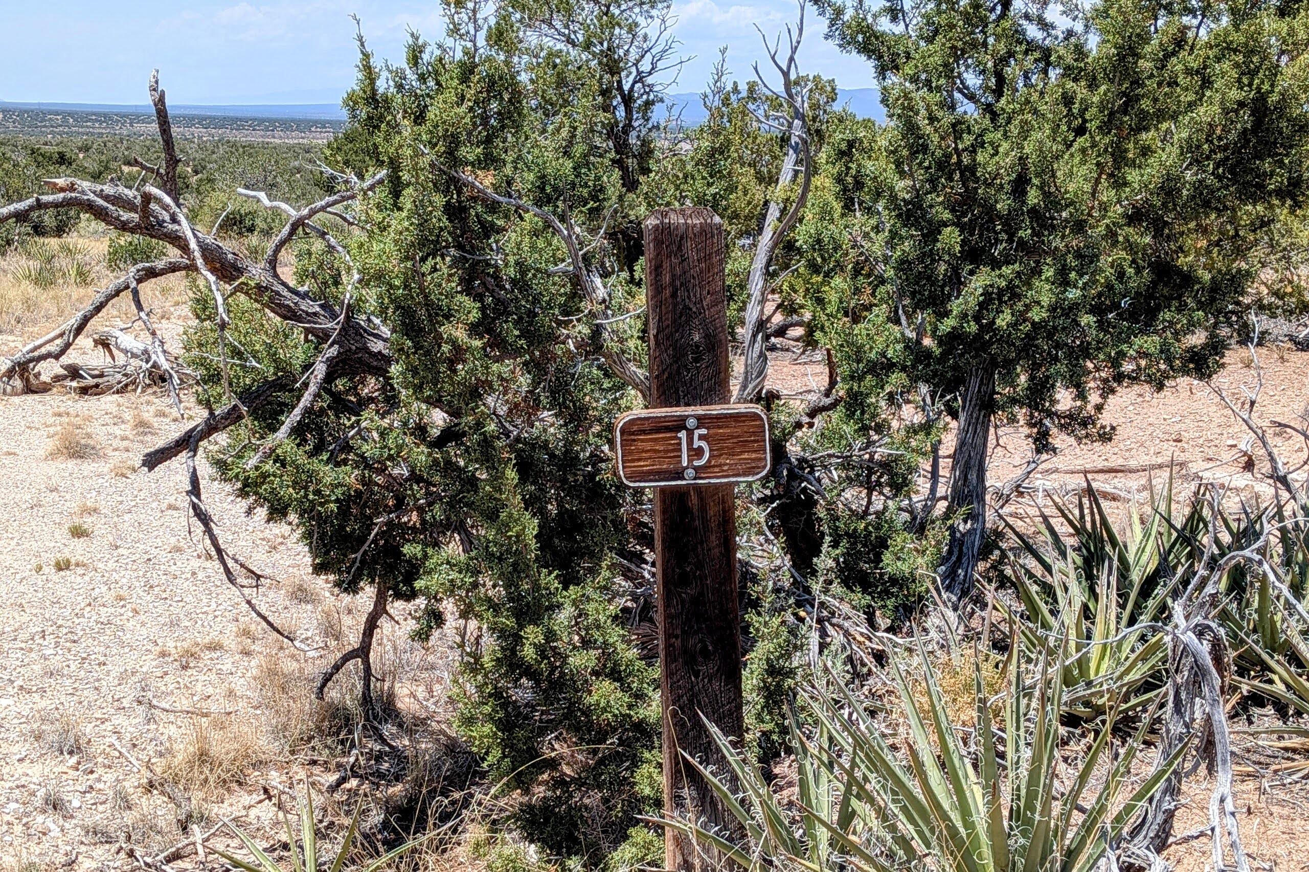 Photo 13 — 15 Nana Trail