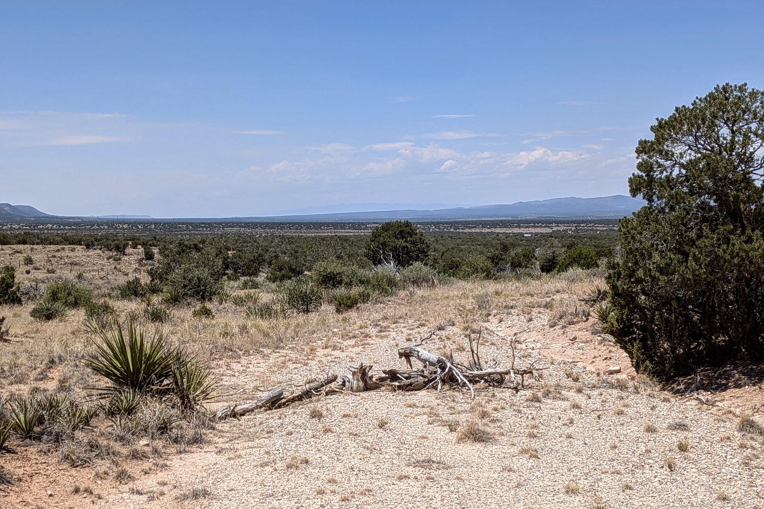 Photo 9 — 15 Nana Trail