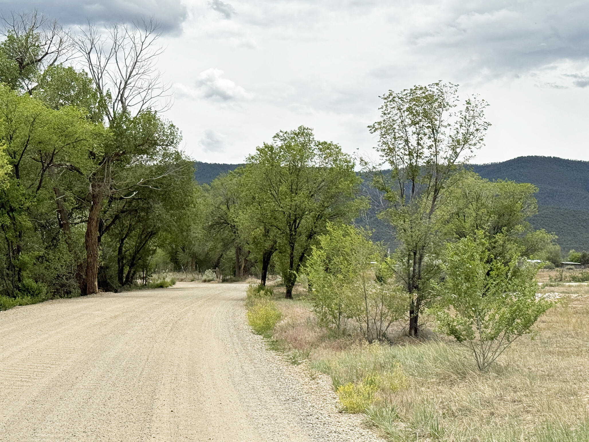 Photo 3 — Lot 12 Los Pandos Estates