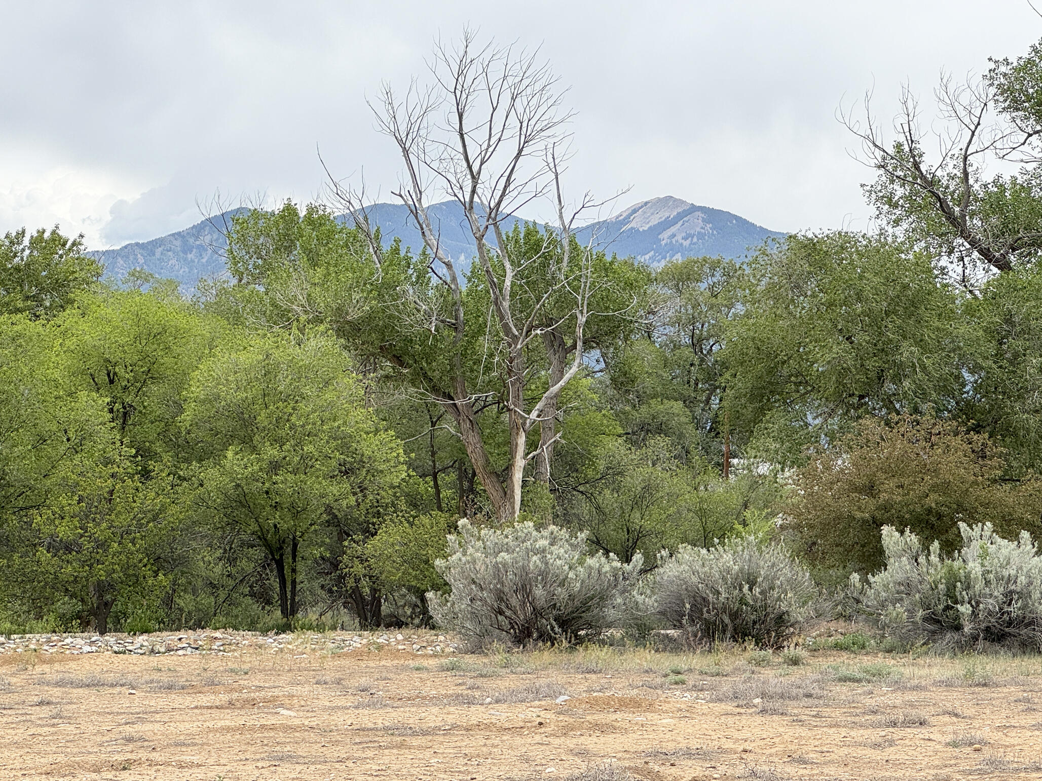 Photo 8 — Lot 12 Los Pandos Estates
