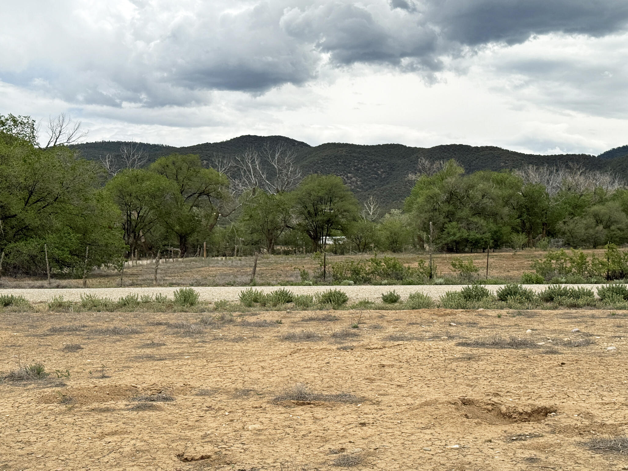 Photo 7 — Lot 12 Los Pandos Estates