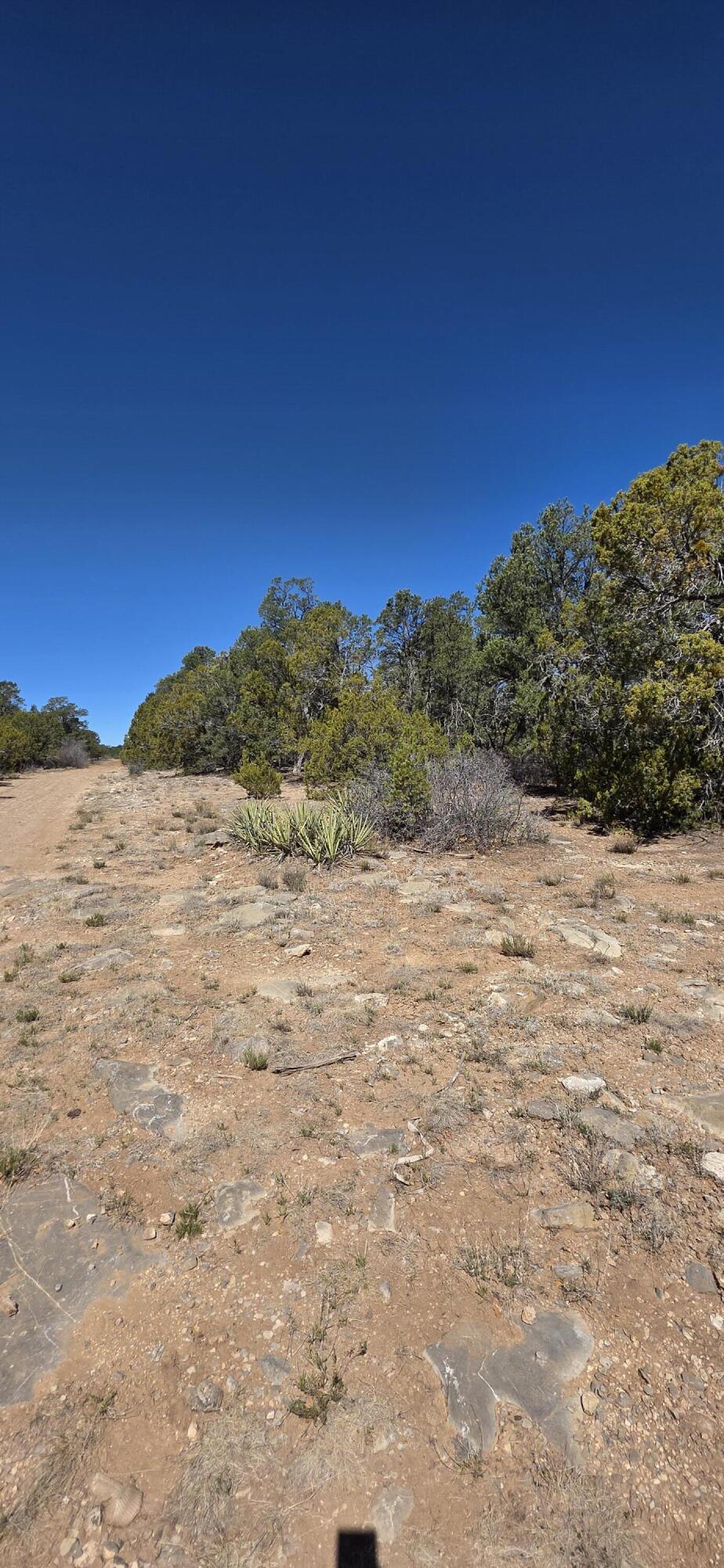 Photo 8 —  Chico Road R015120