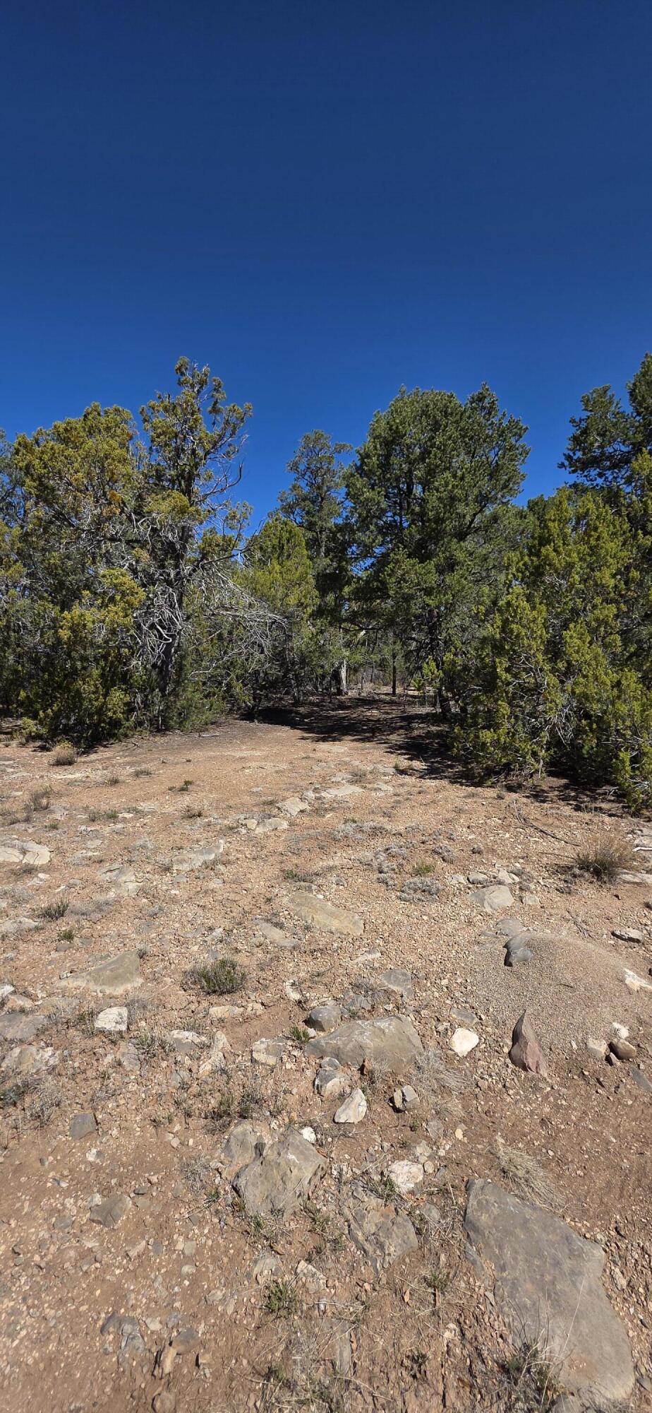 Photo 7 —  Chico Road R015120