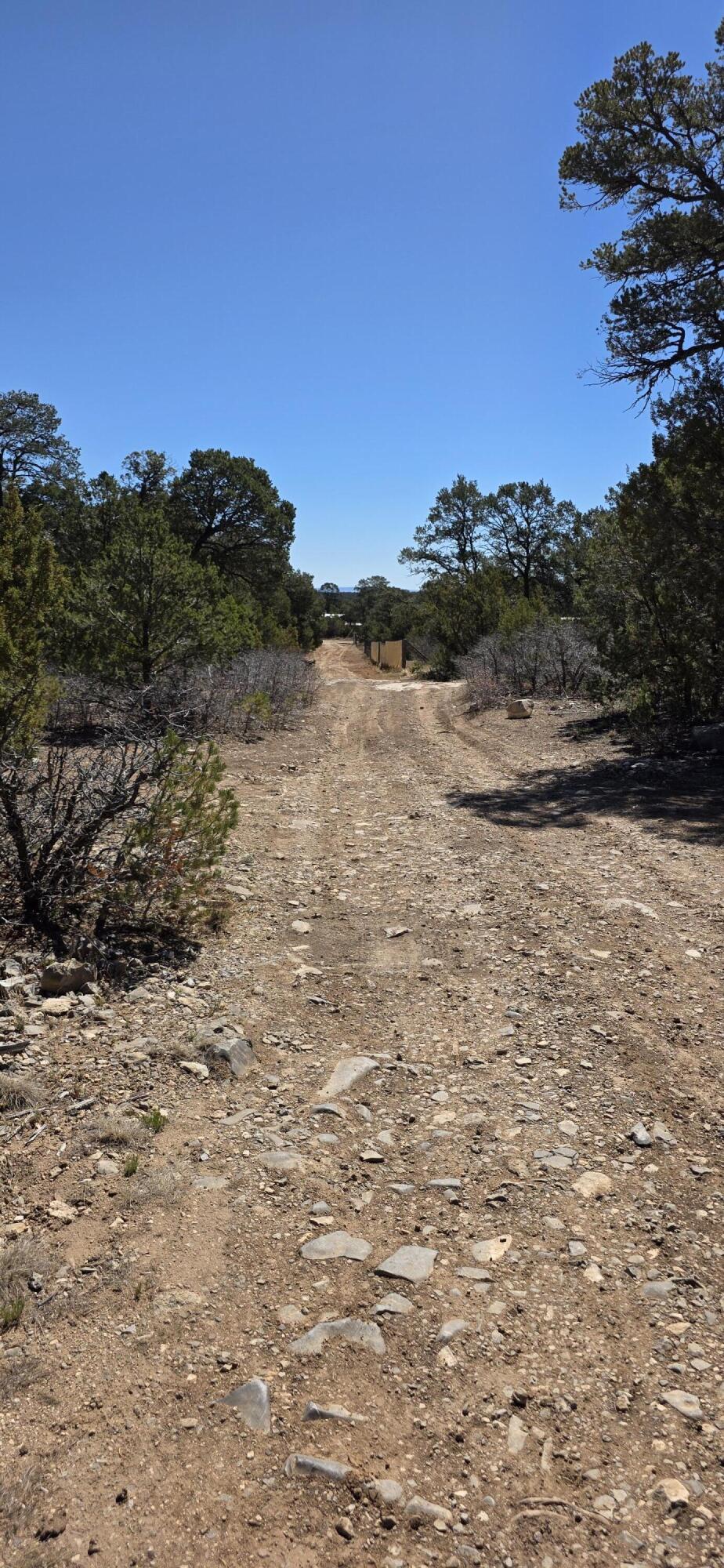 Photo 6 —  Chico Road R015120