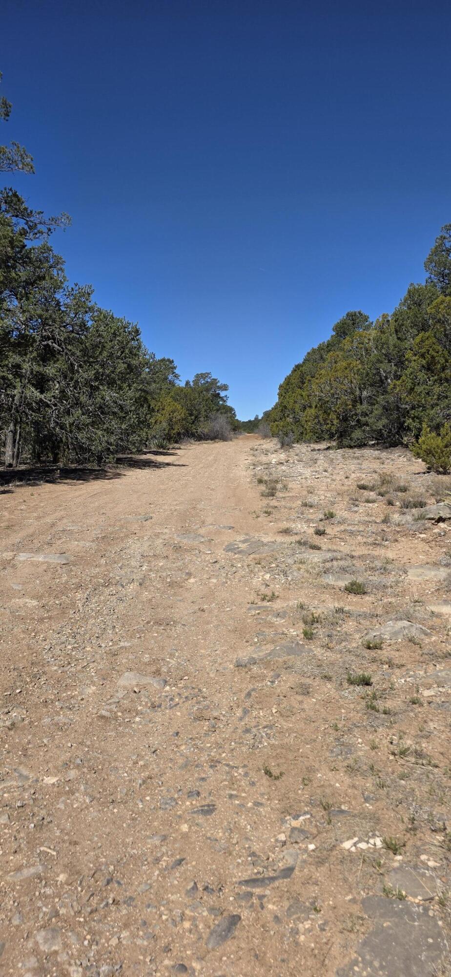 Photo 5 —  Chico Road R015120