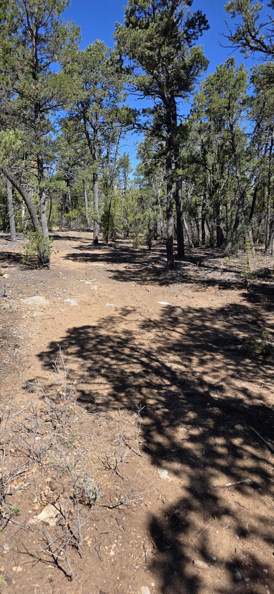 Photo 4 —  Chico Road R015120