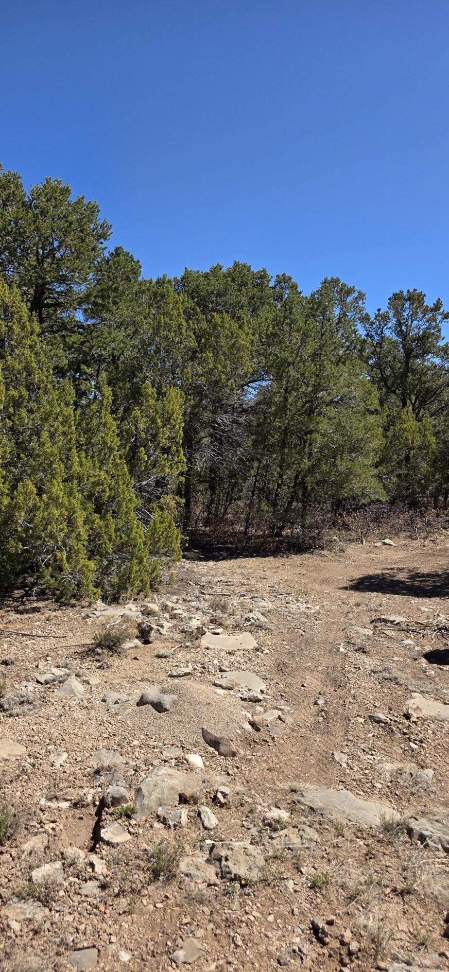 Photo 3 —  Chico Road R015120