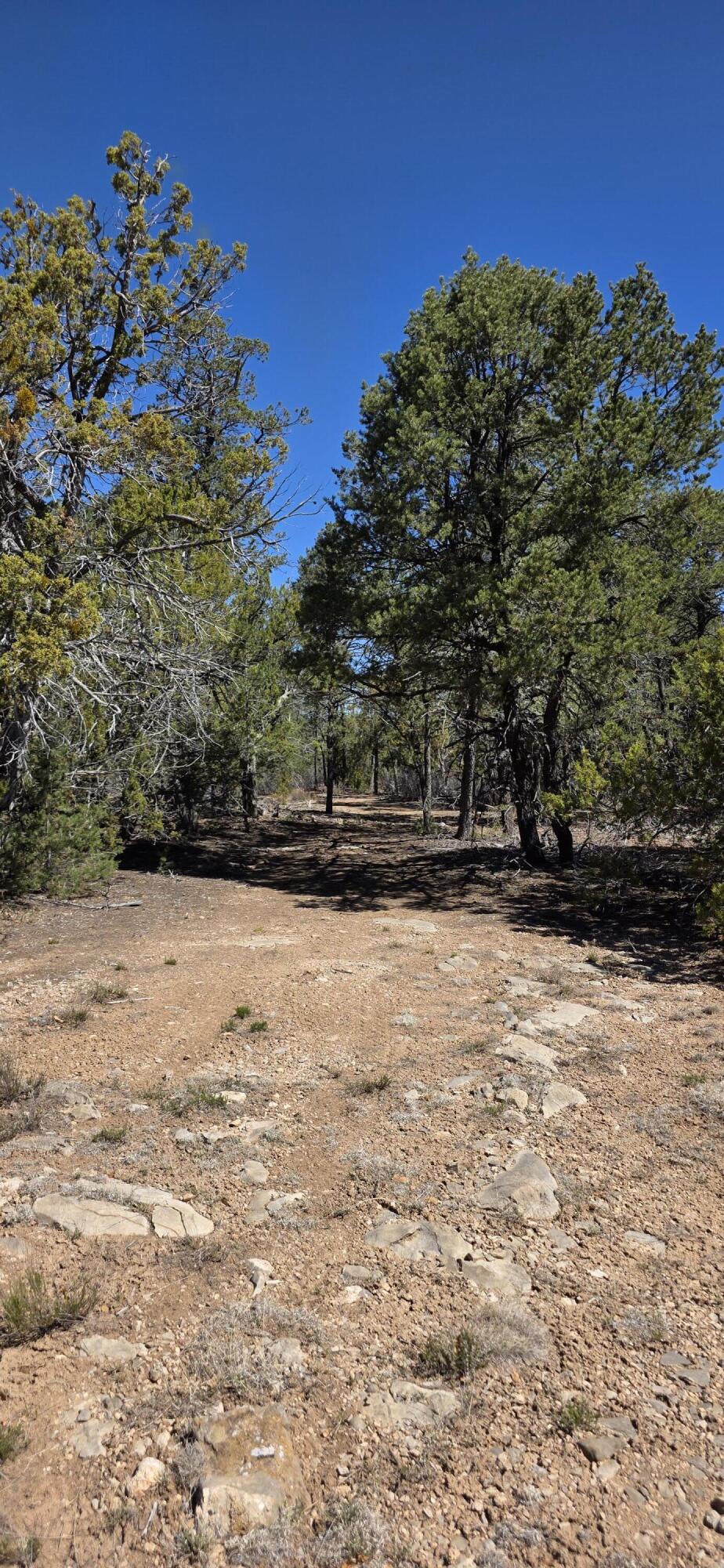 Photo 2 —  Chico Road R015120