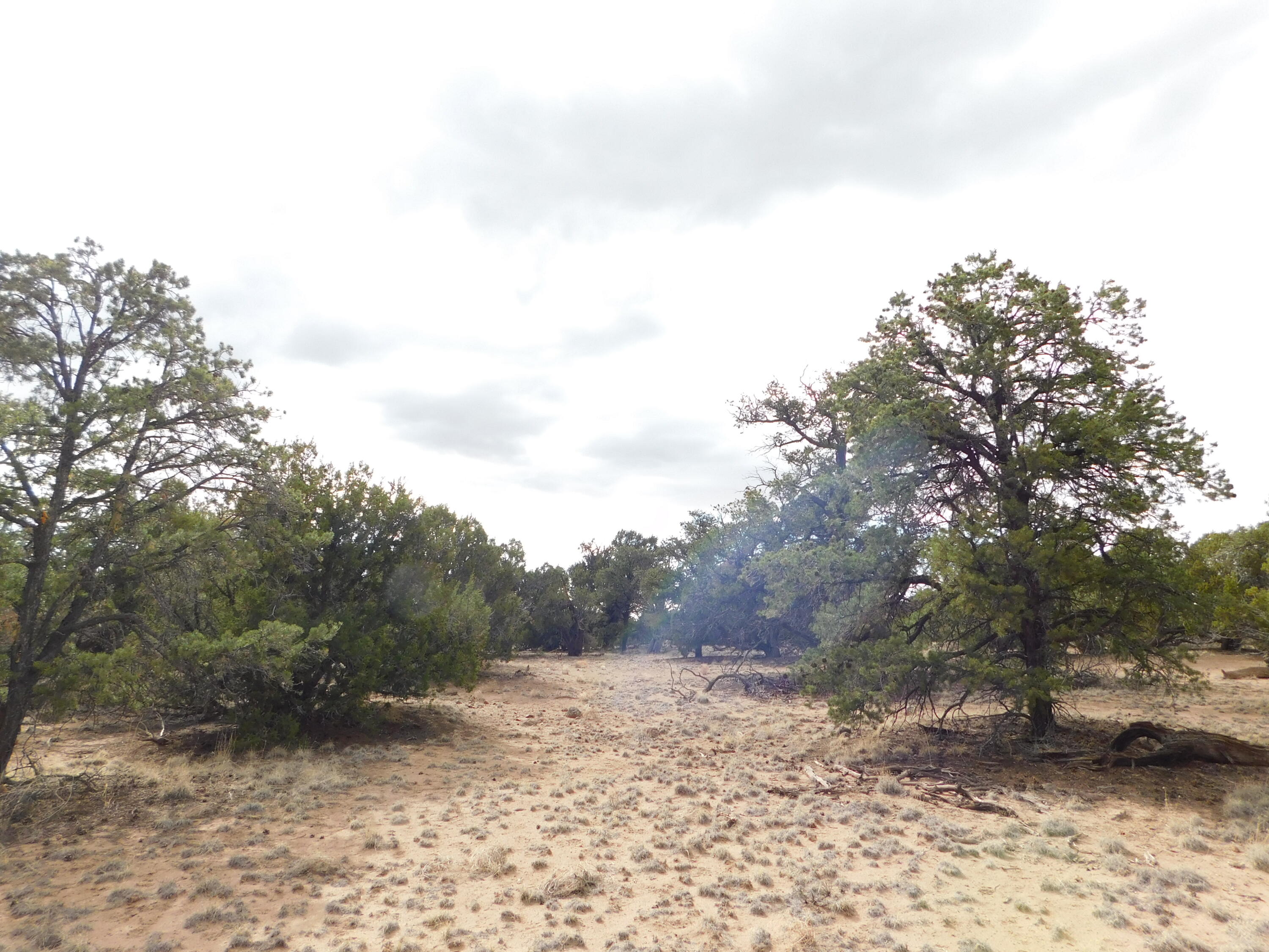 Photo 20 — LOT 217 SQUAW PASS