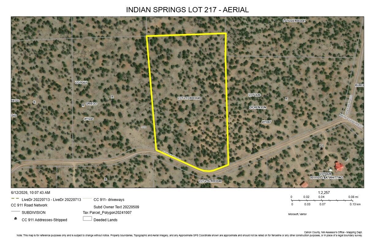 Photo 18 — LOT 217 SQUAW PASS