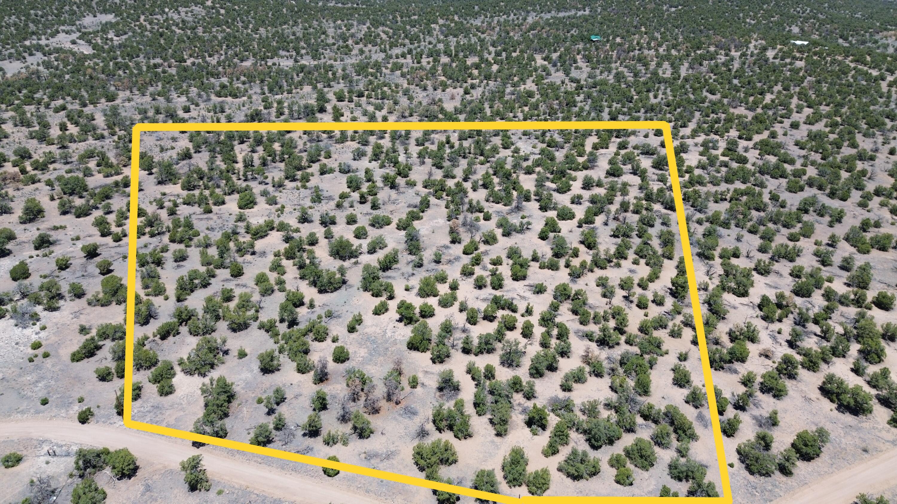 Photo 17 — LOT 217 SQUAW PASS