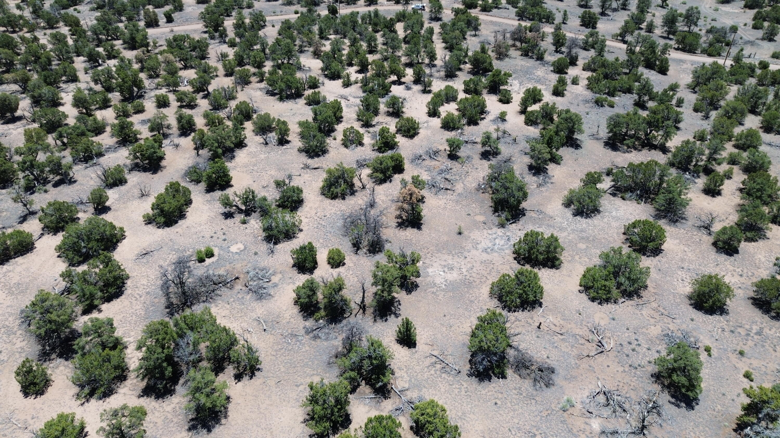 Photo 16 — LOT 217 SQUAW PASS