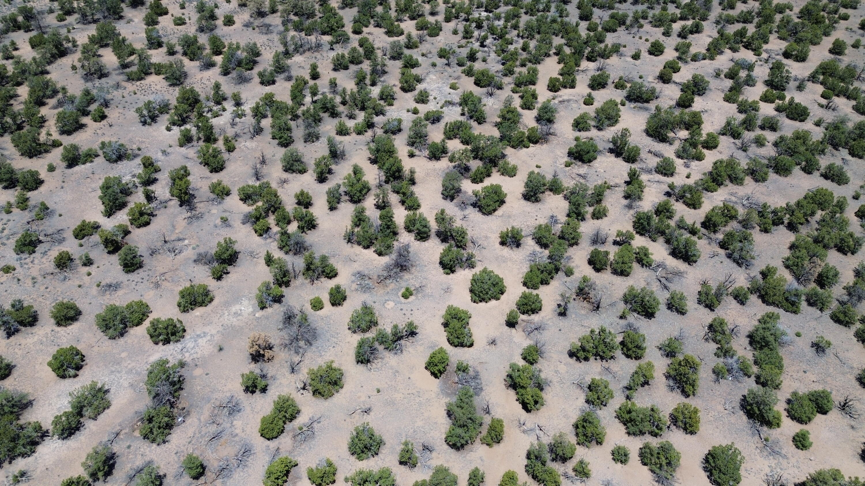 Photo 15 — LOT 217 SQUAW PASS