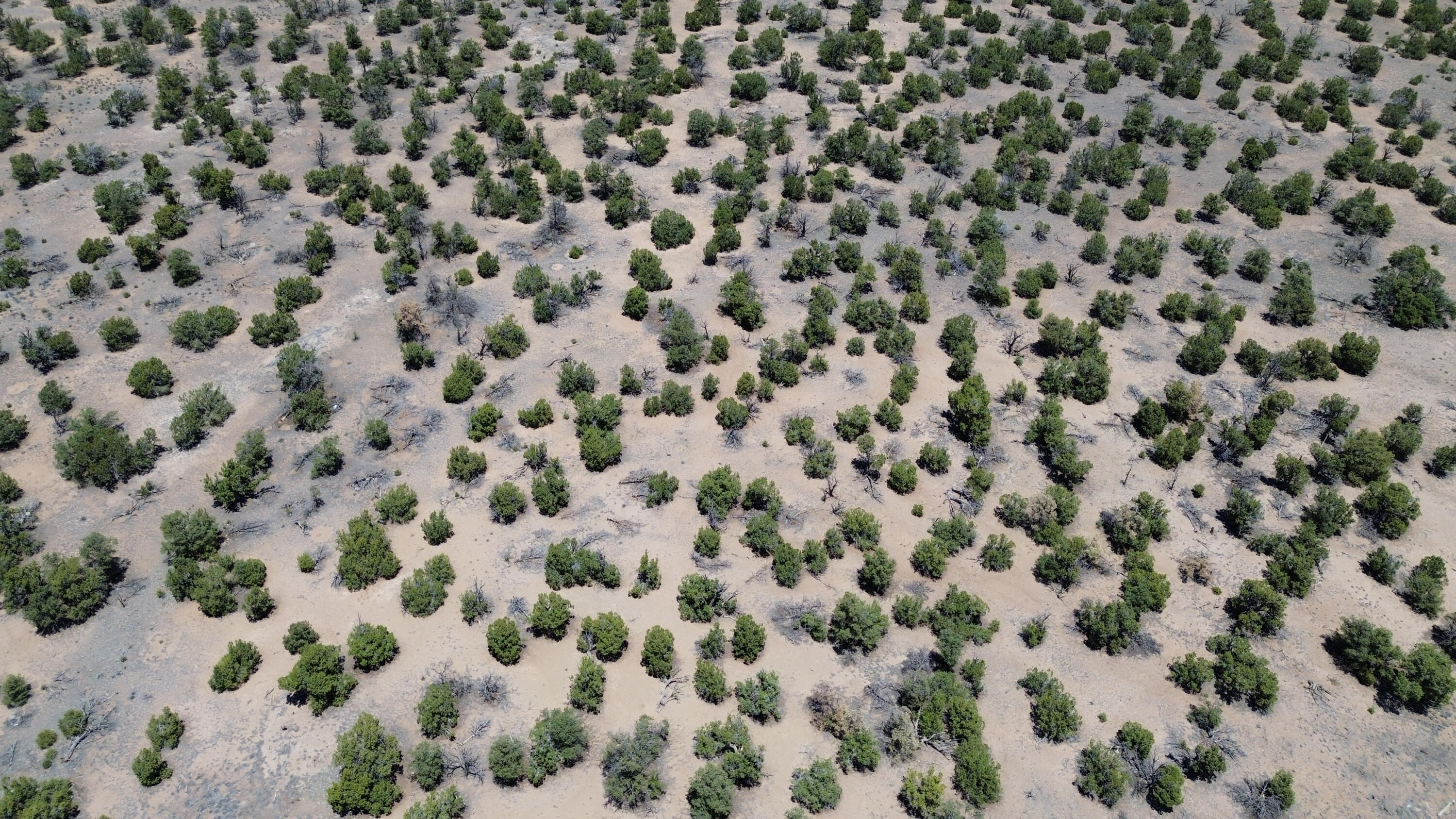 Photo 13 — LOT 217 SQUAW PASS