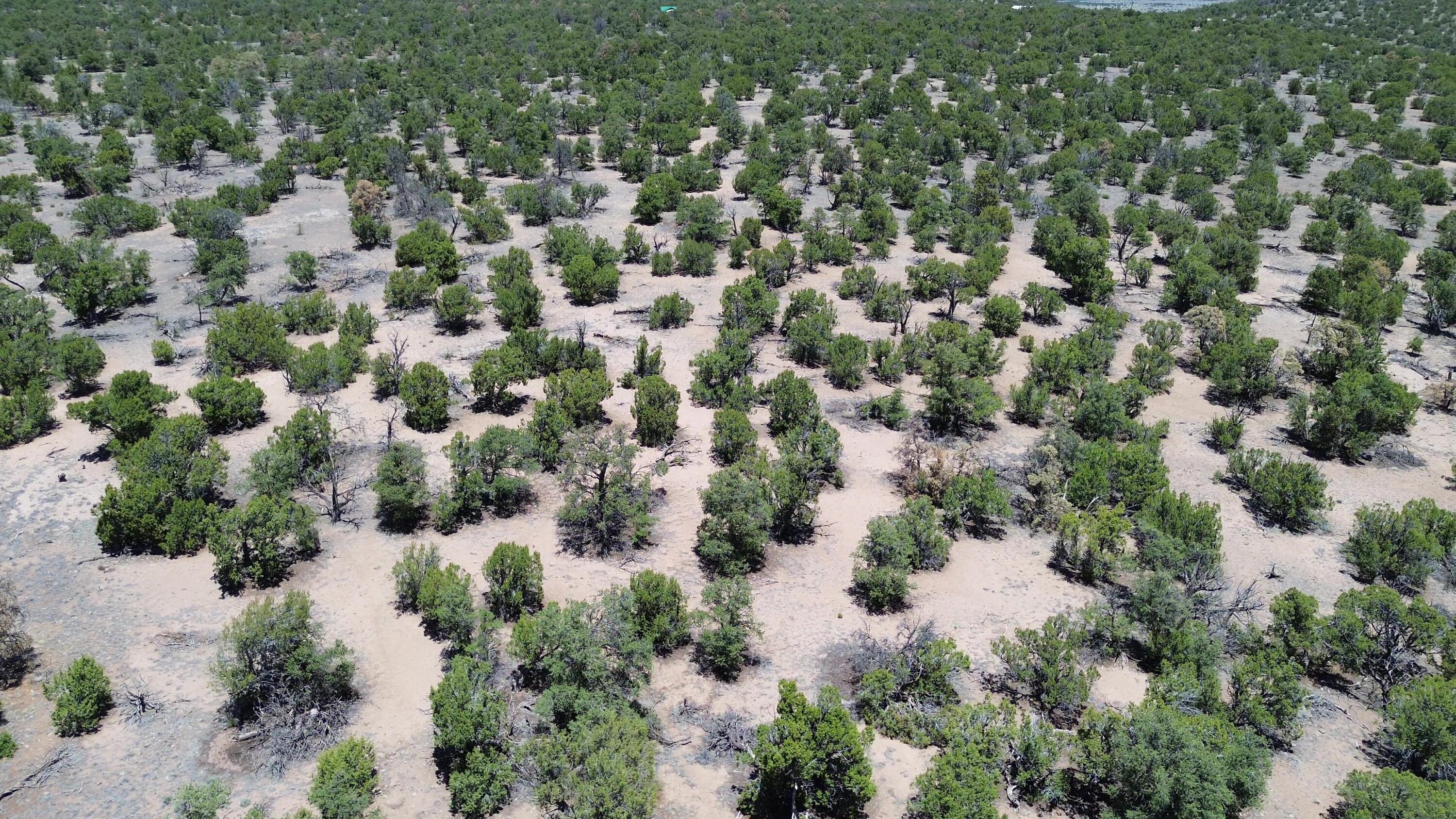 Photo 12 — LOT 217 SQUAW PASS