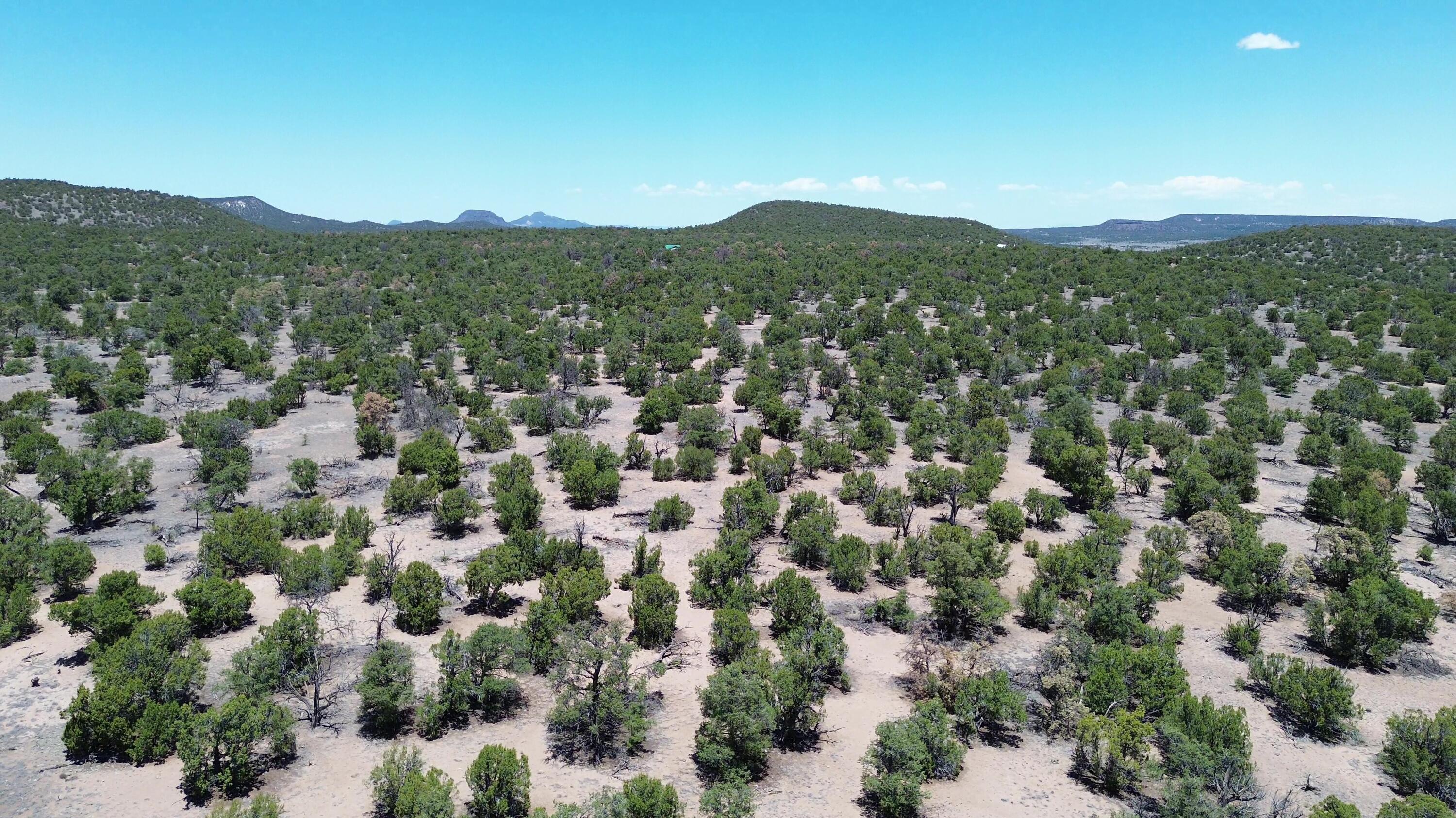 Photo 11 — LOT 217 SQUAW PASS