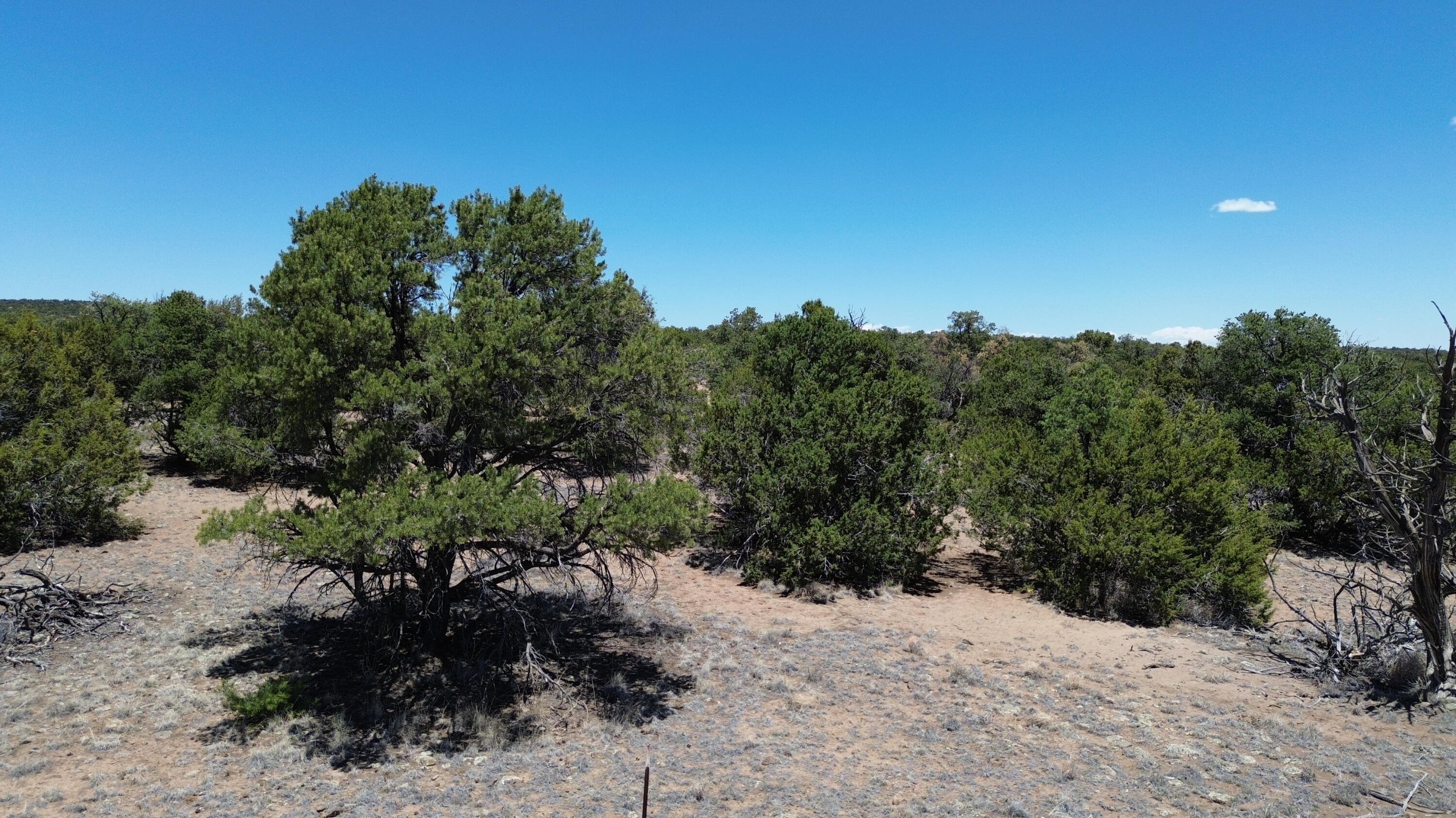 Photo 10 — LOT 217 SQUAW PASS