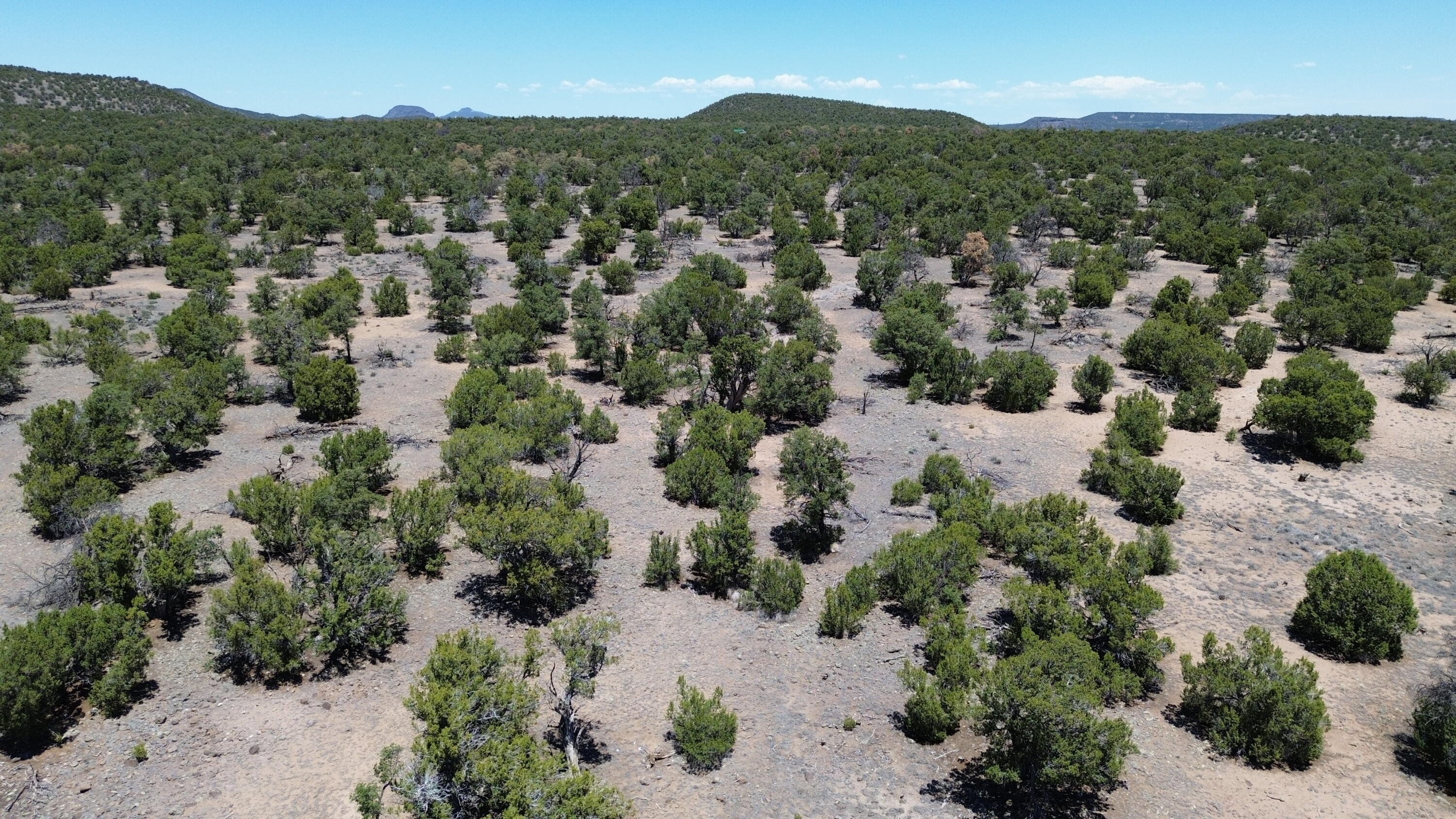 Photo 9 — LOT 217 SQUAW PASS