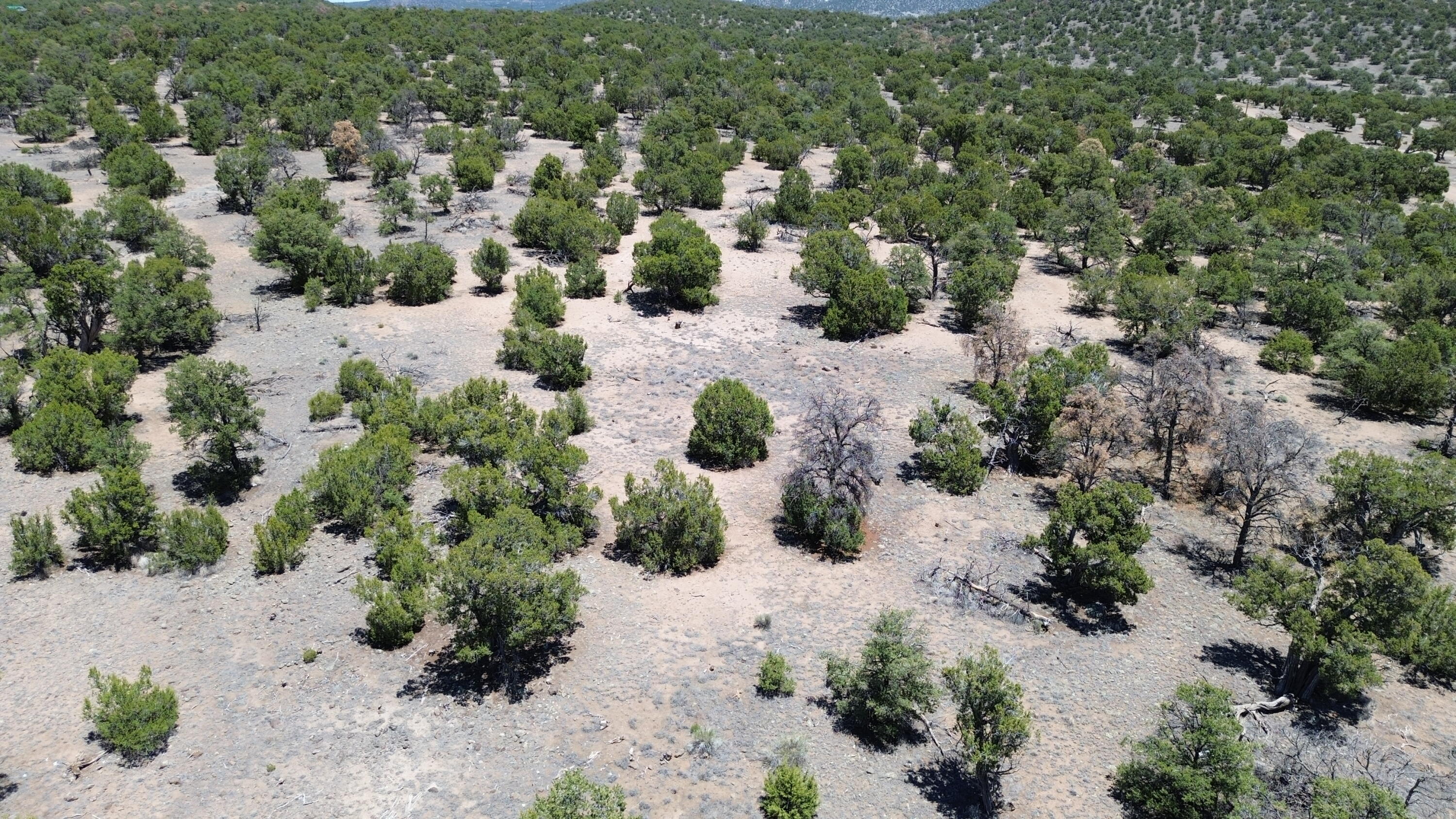 Photo 8 — LOT 217 SQUAW PASS