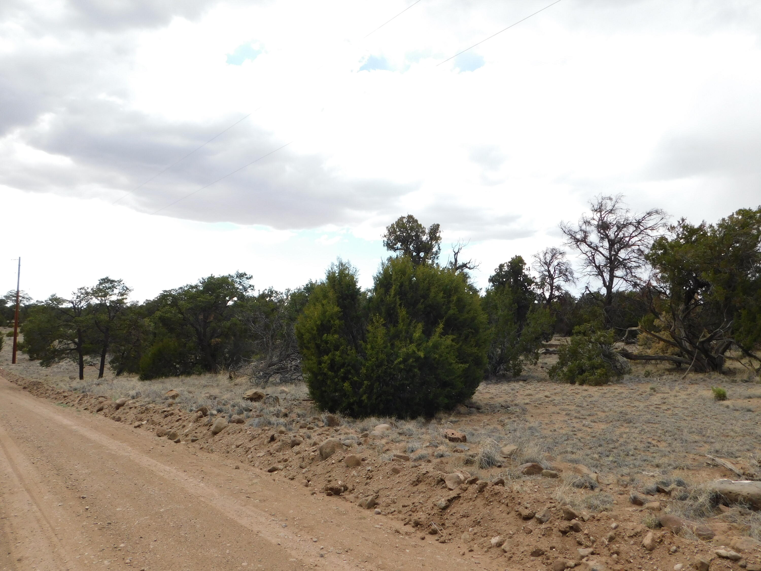 Photo 6 — LOT 217 SQUAW PASS